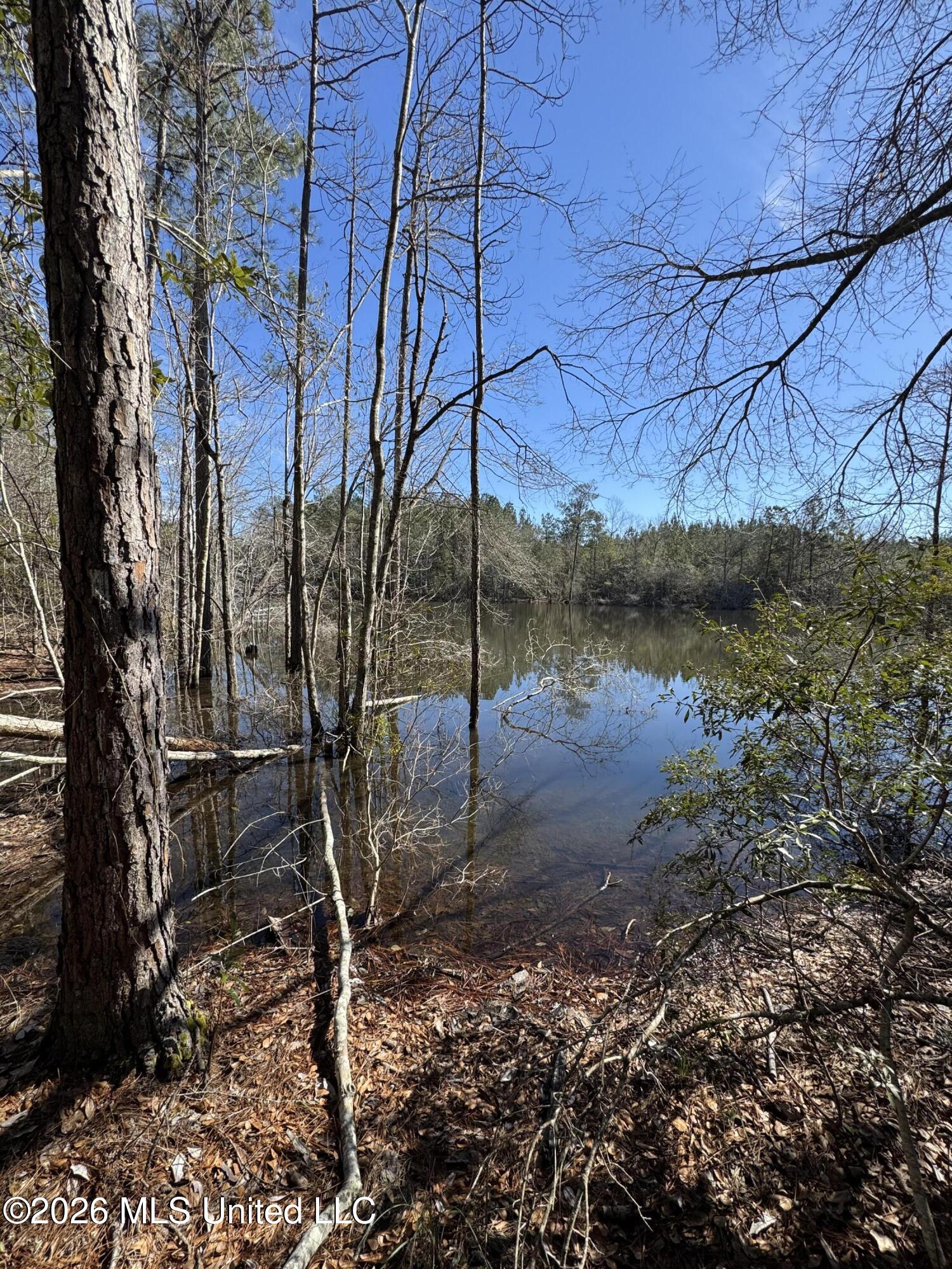 Mississippi 42 Property Photo 64