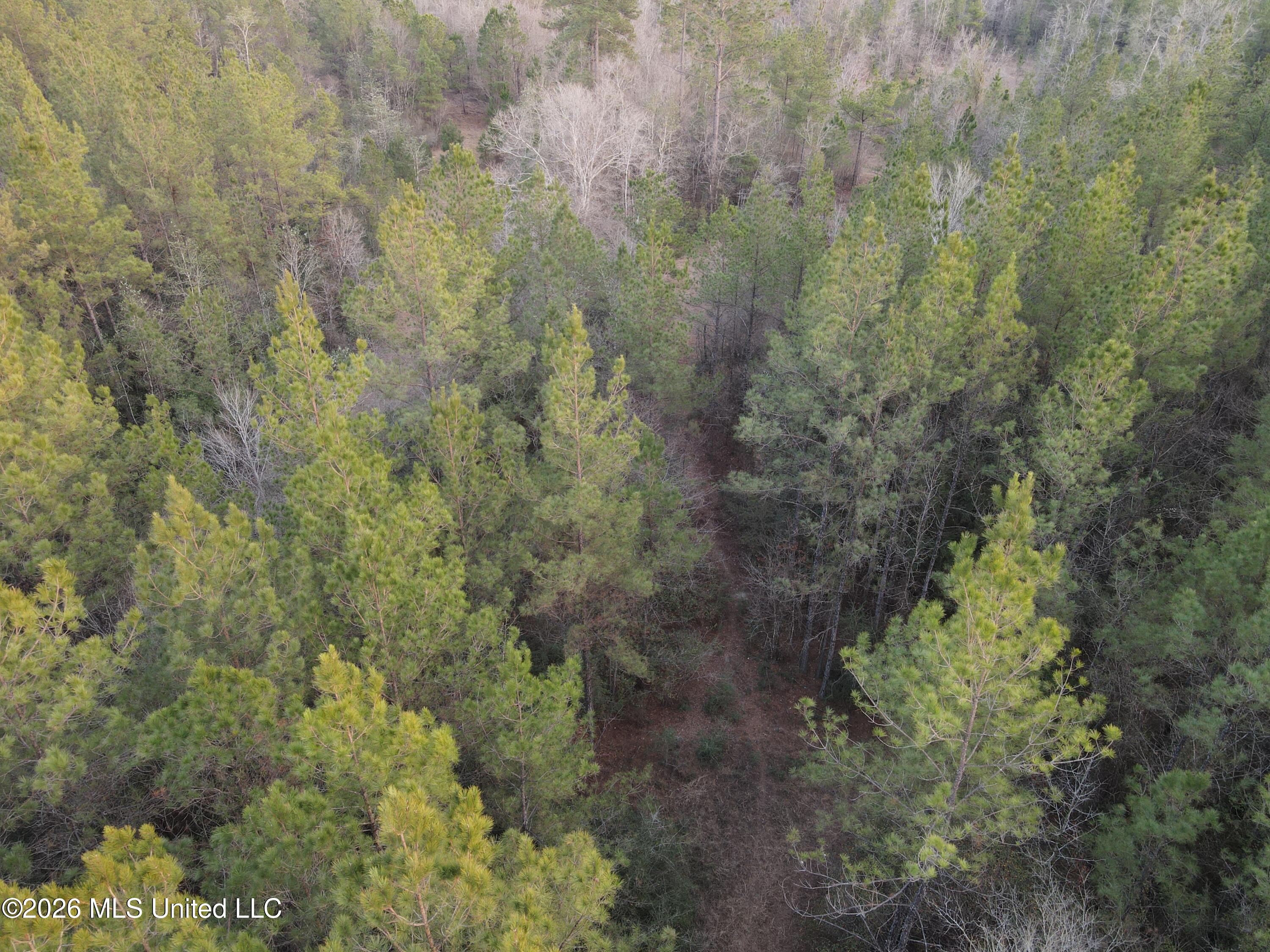 Mississippi 42 Property Photo 66