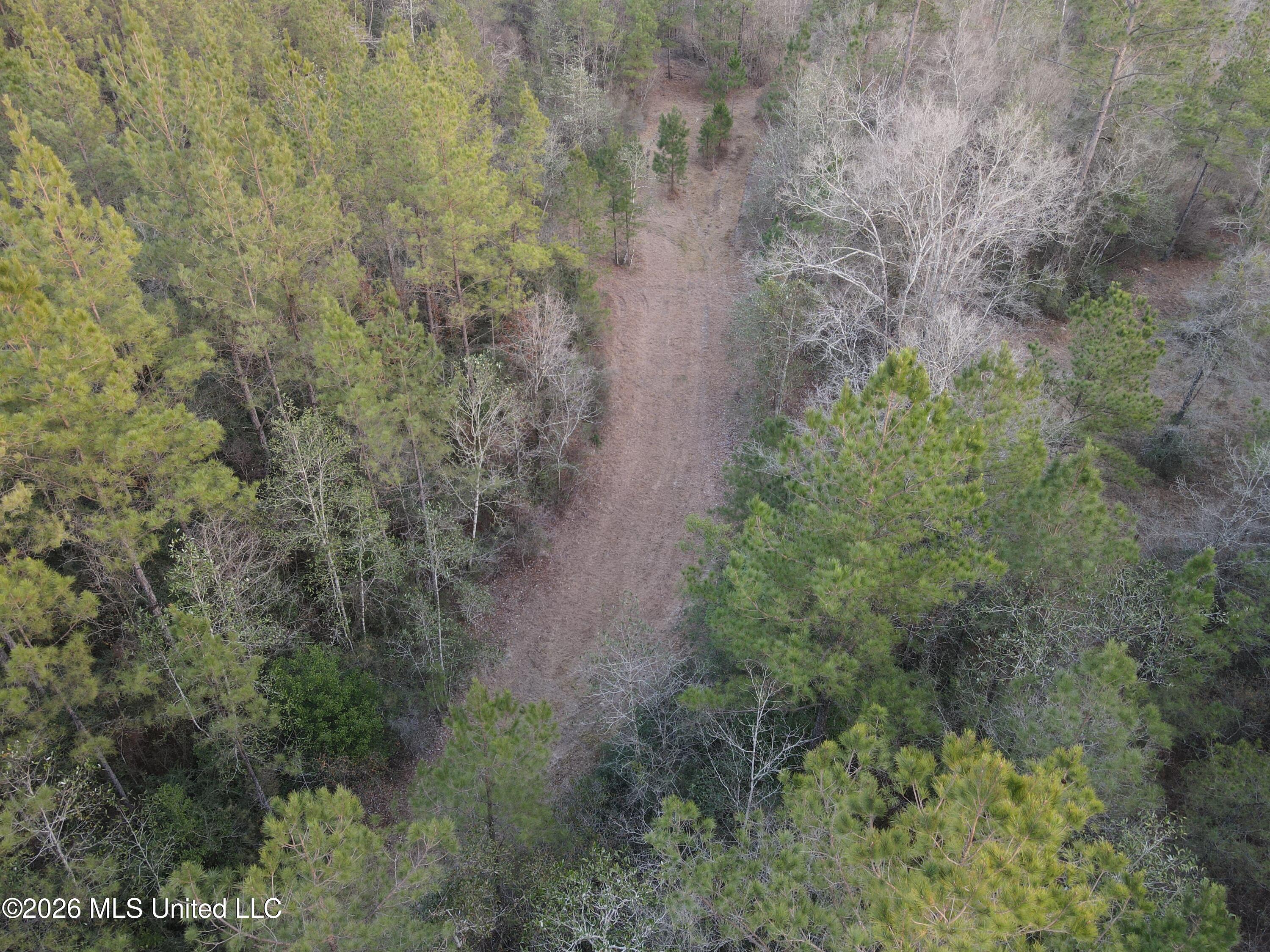 Mississippi 42 Property Photo 68
