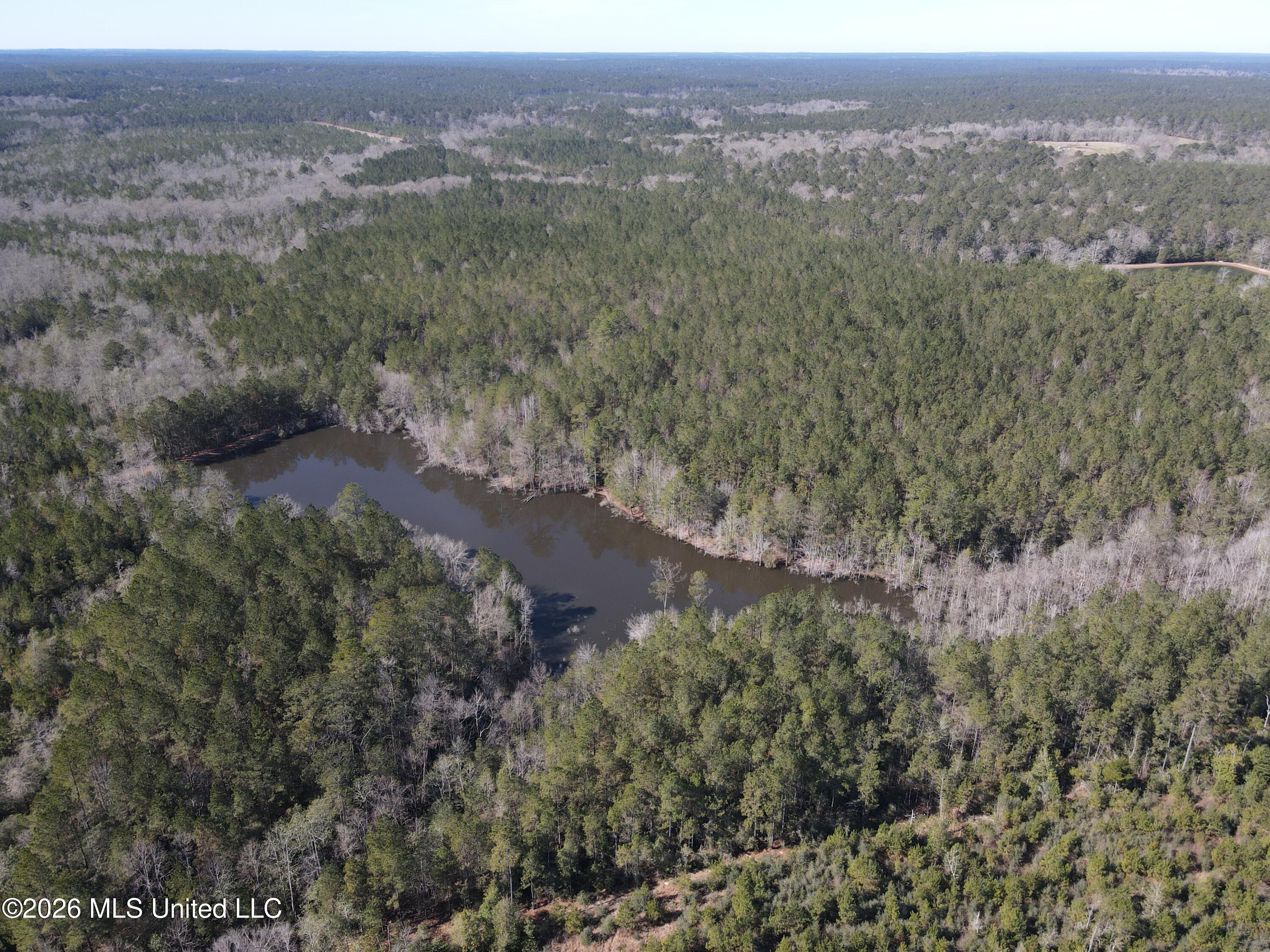 Mississippi 42 Property Photo 69
