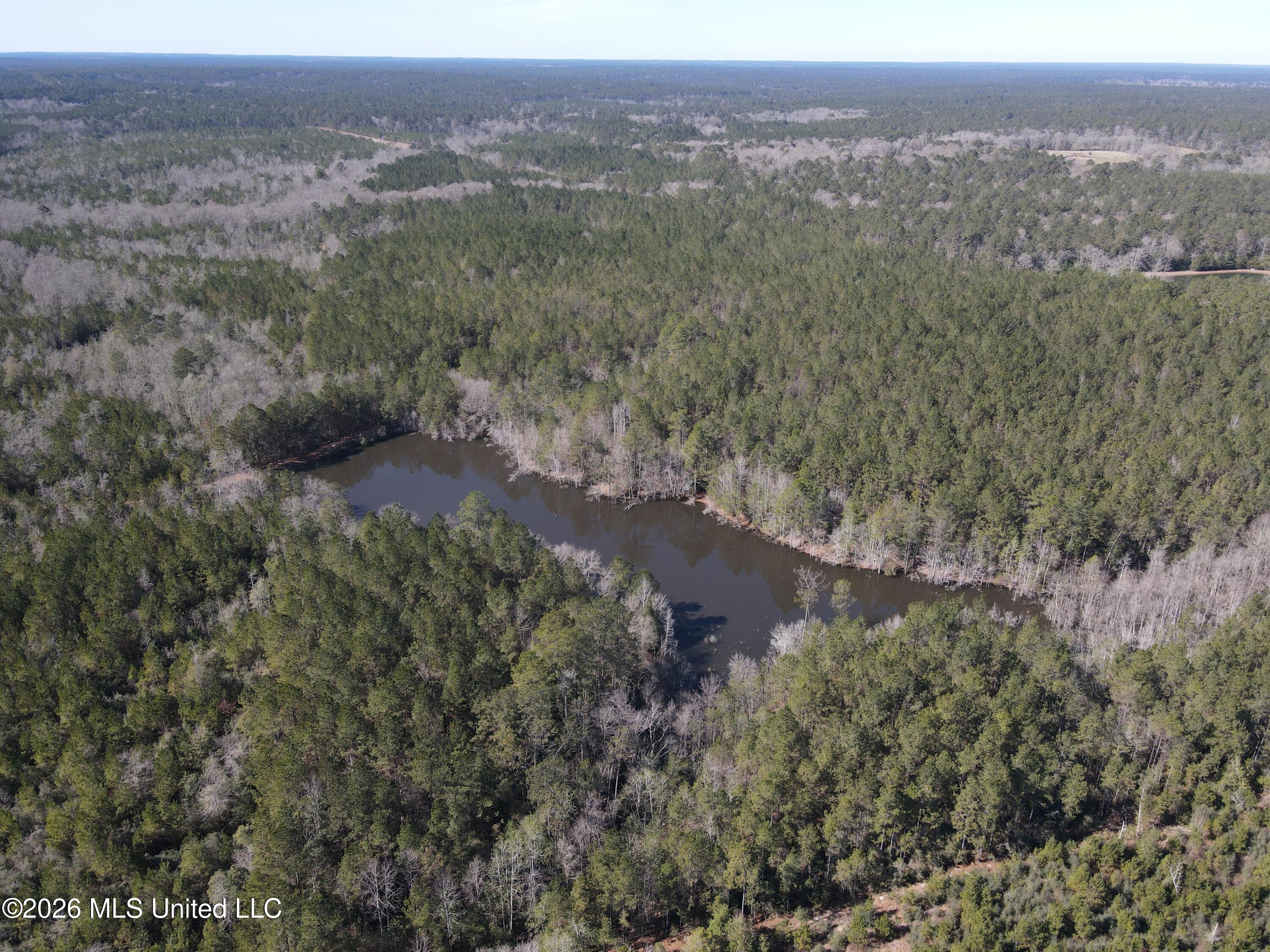 Mississippi 42 Property Photo 71