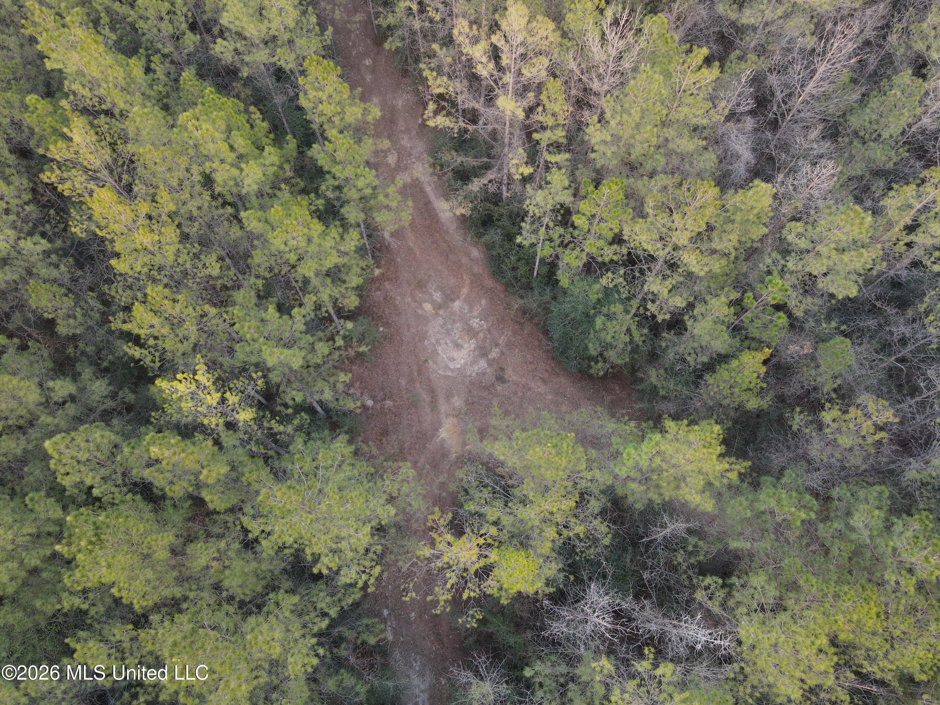 Mississippi 42 Property Photo 74