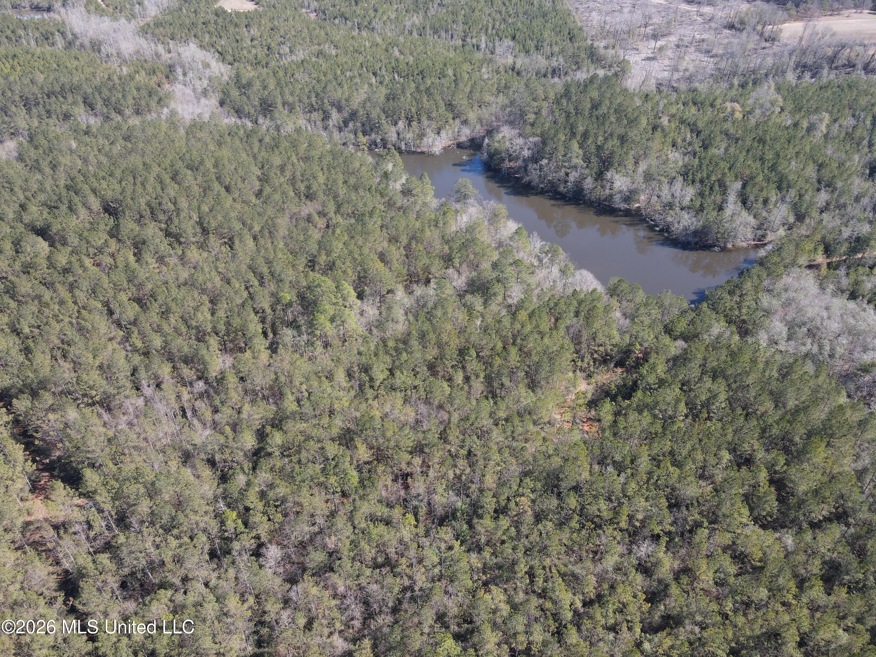 Mississippi 42 Property Photo 75
