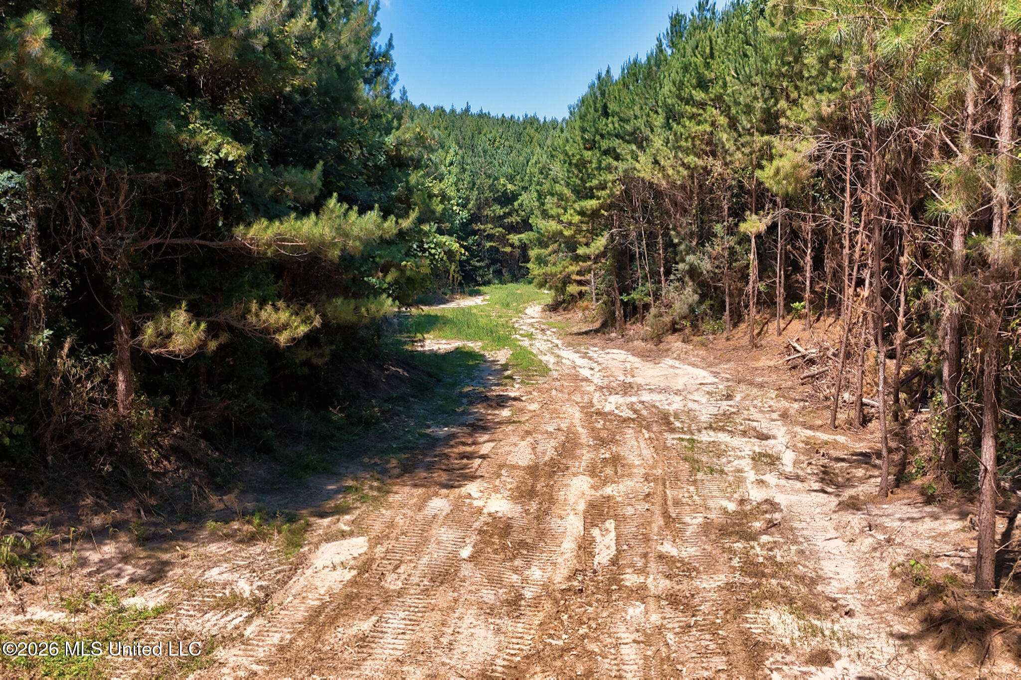 Nw Ben Briggs Road Property Photo 1