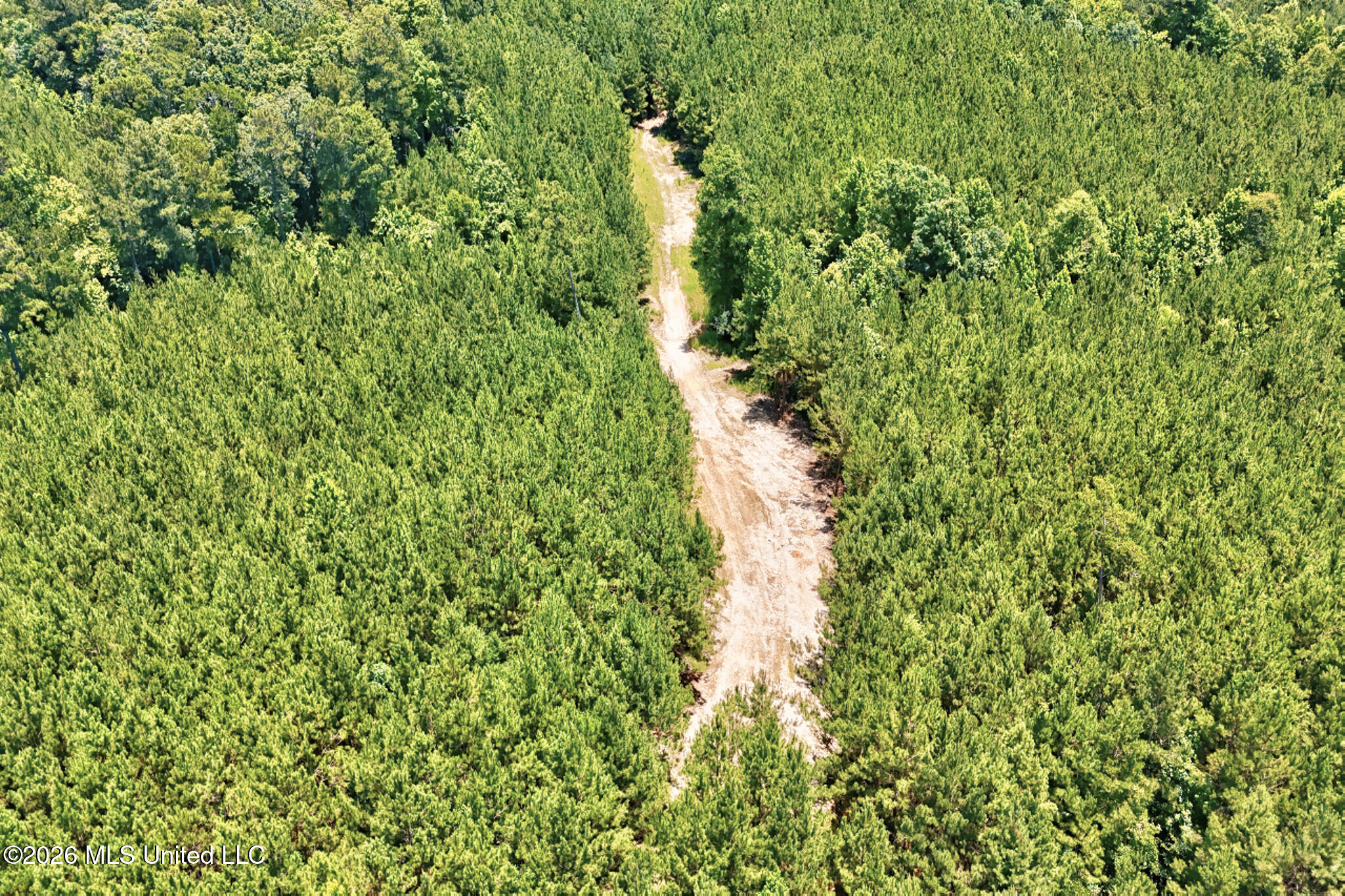 Nw Ben Briggs Road Property Photo 10