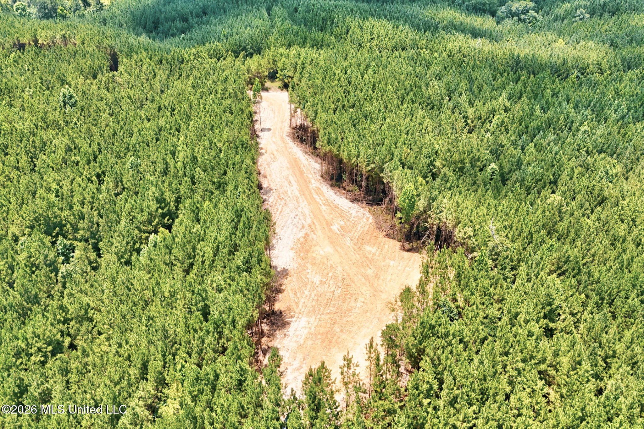 Nw Ben Briggs Road Property Photo 11