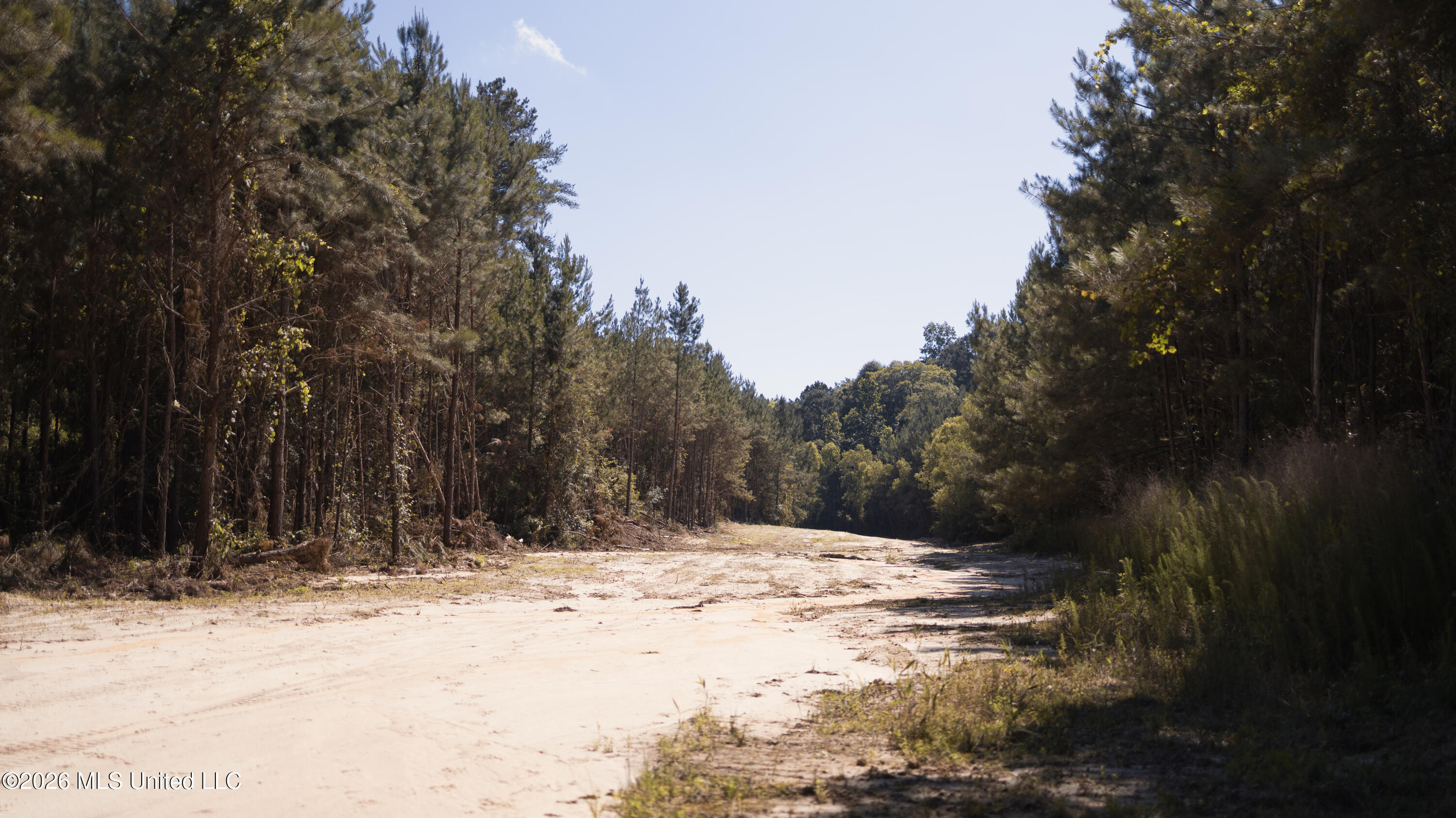 Nw Ben Briggs Road Property Photo 12
