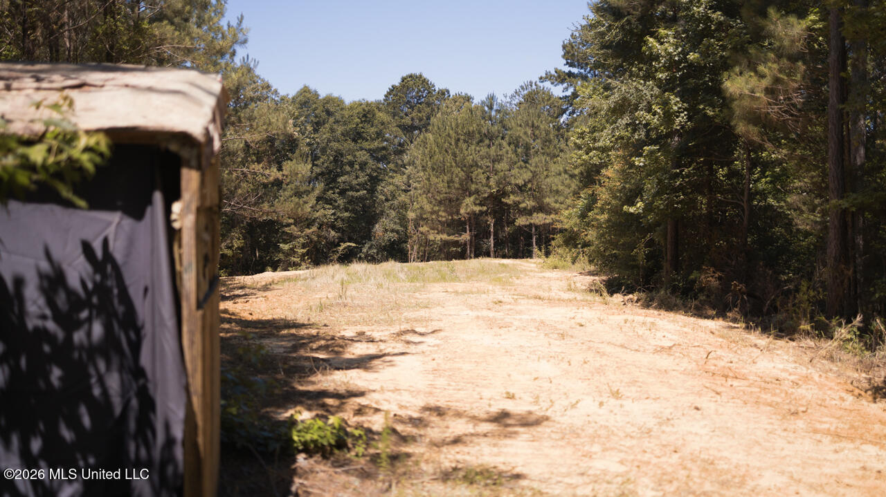 Nw Ben Briggs Road Property Photo 13