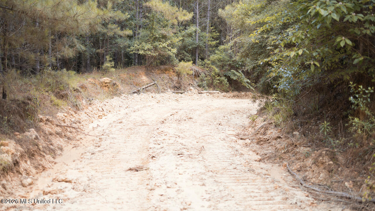 Nw Ben Briggs Road Property Photo 16