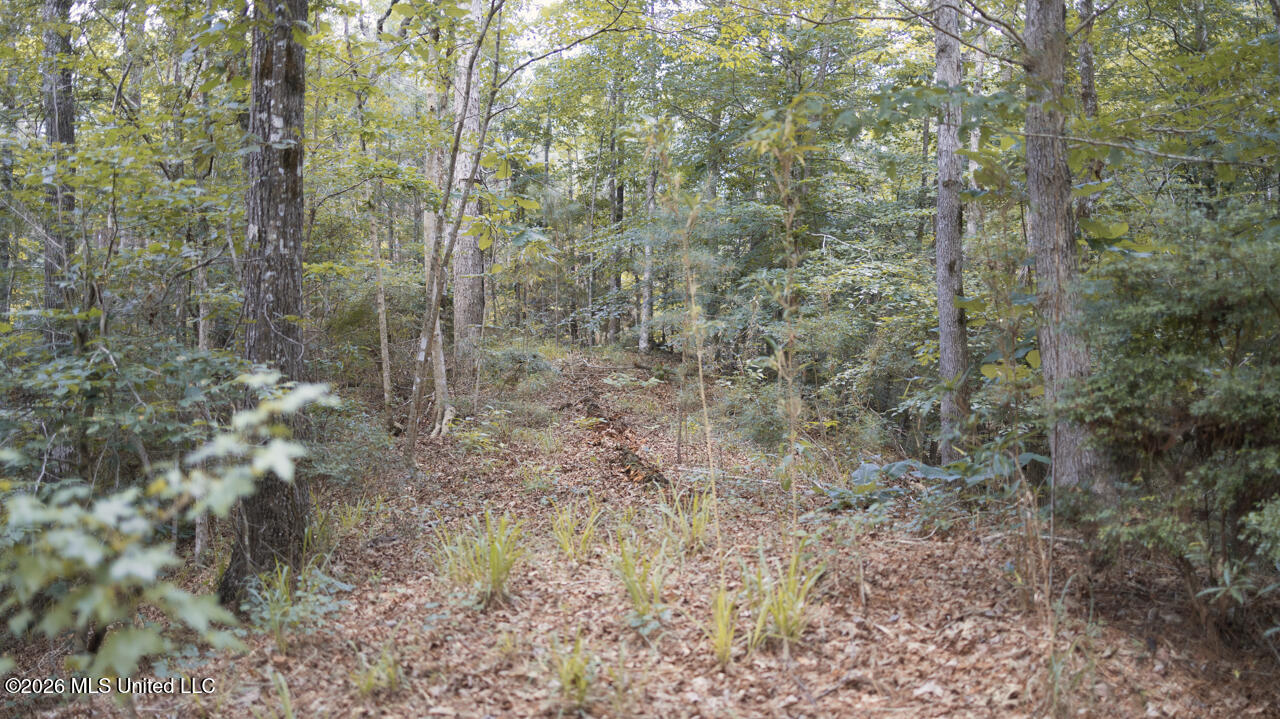Nw Ben Briggs Road Property Photo 17