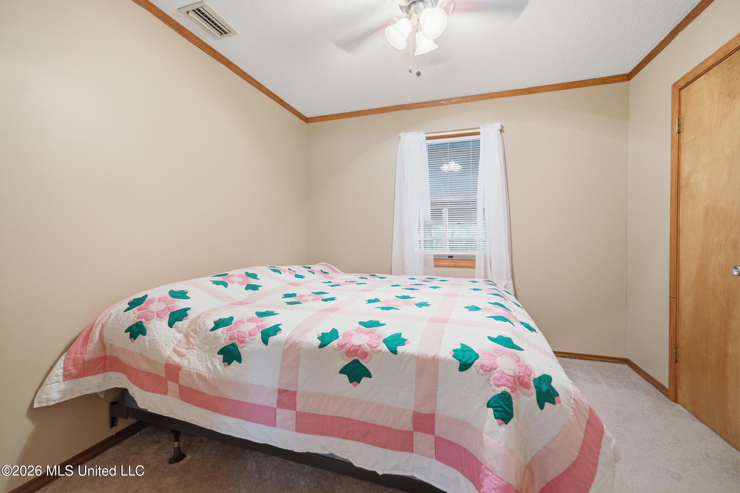 16 Chapel Lane Property Photo 34