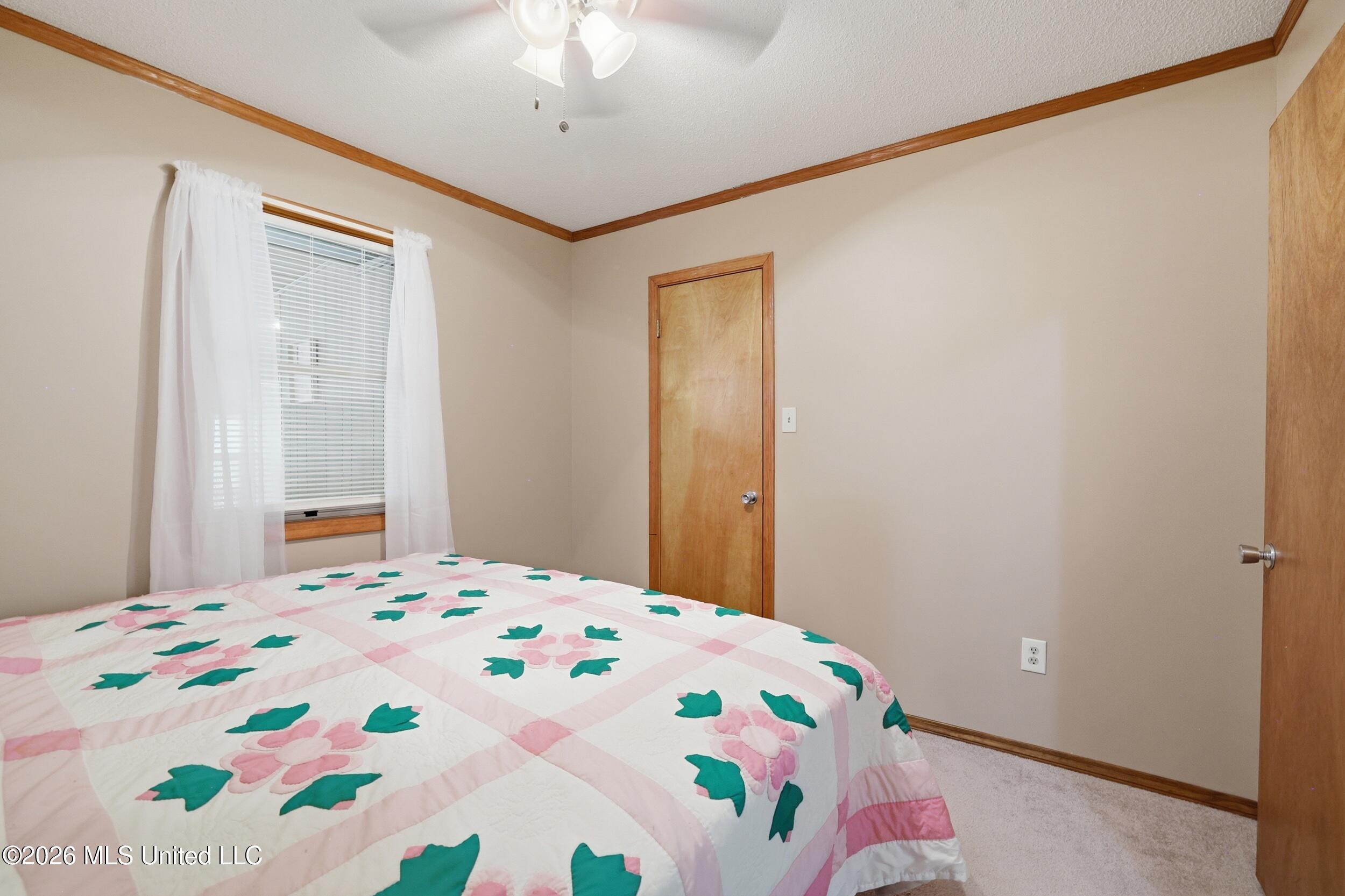 16 Chapel Lane Property Photo 35