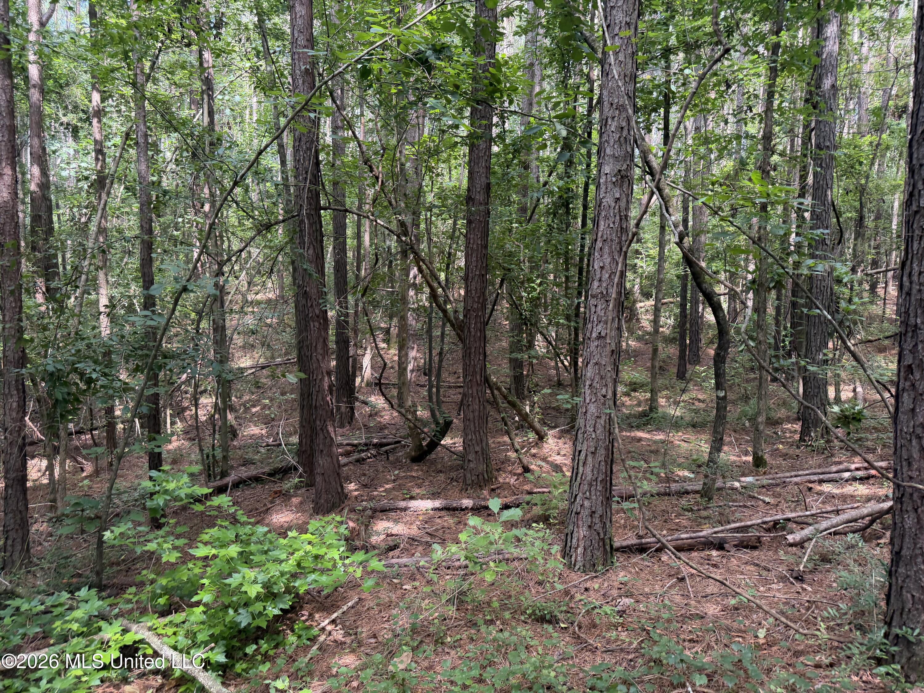 Nw Union Road Property Photo 5