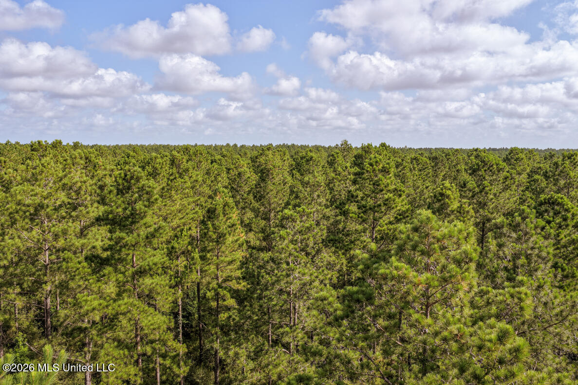 Tbd Walden Way Property Photo 17
