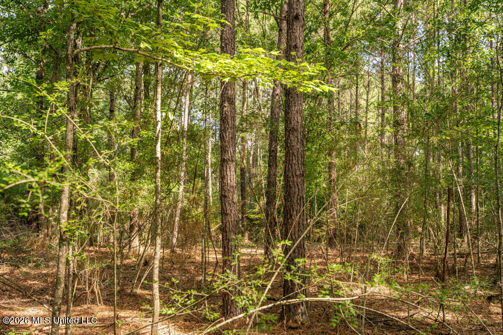 Tbd Walden Way Property Photo 33