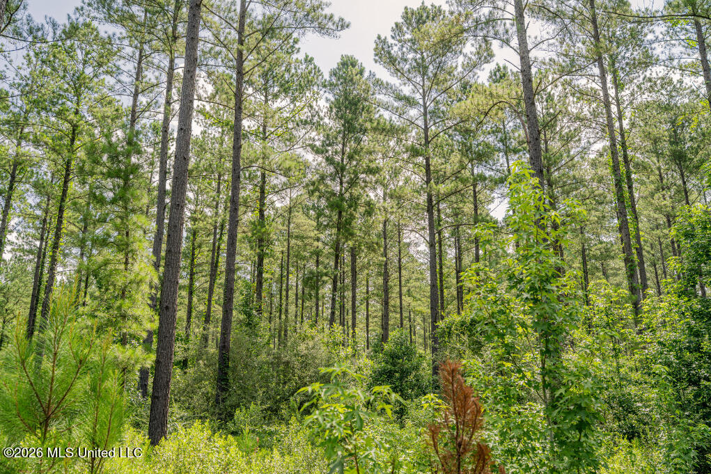 Tbd Walden Way Property Photo 36