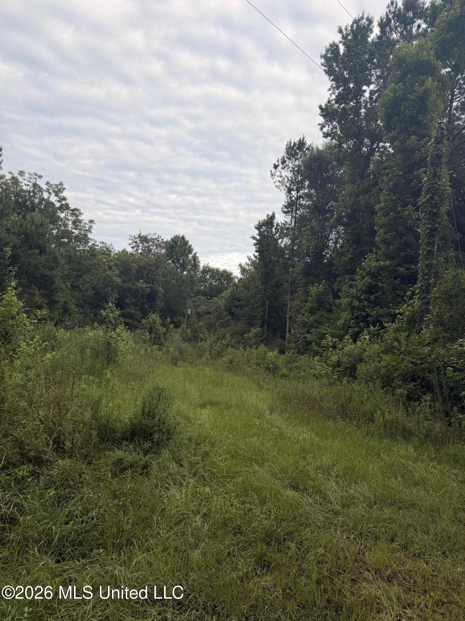 0000 Candy Lane Property Photo 3