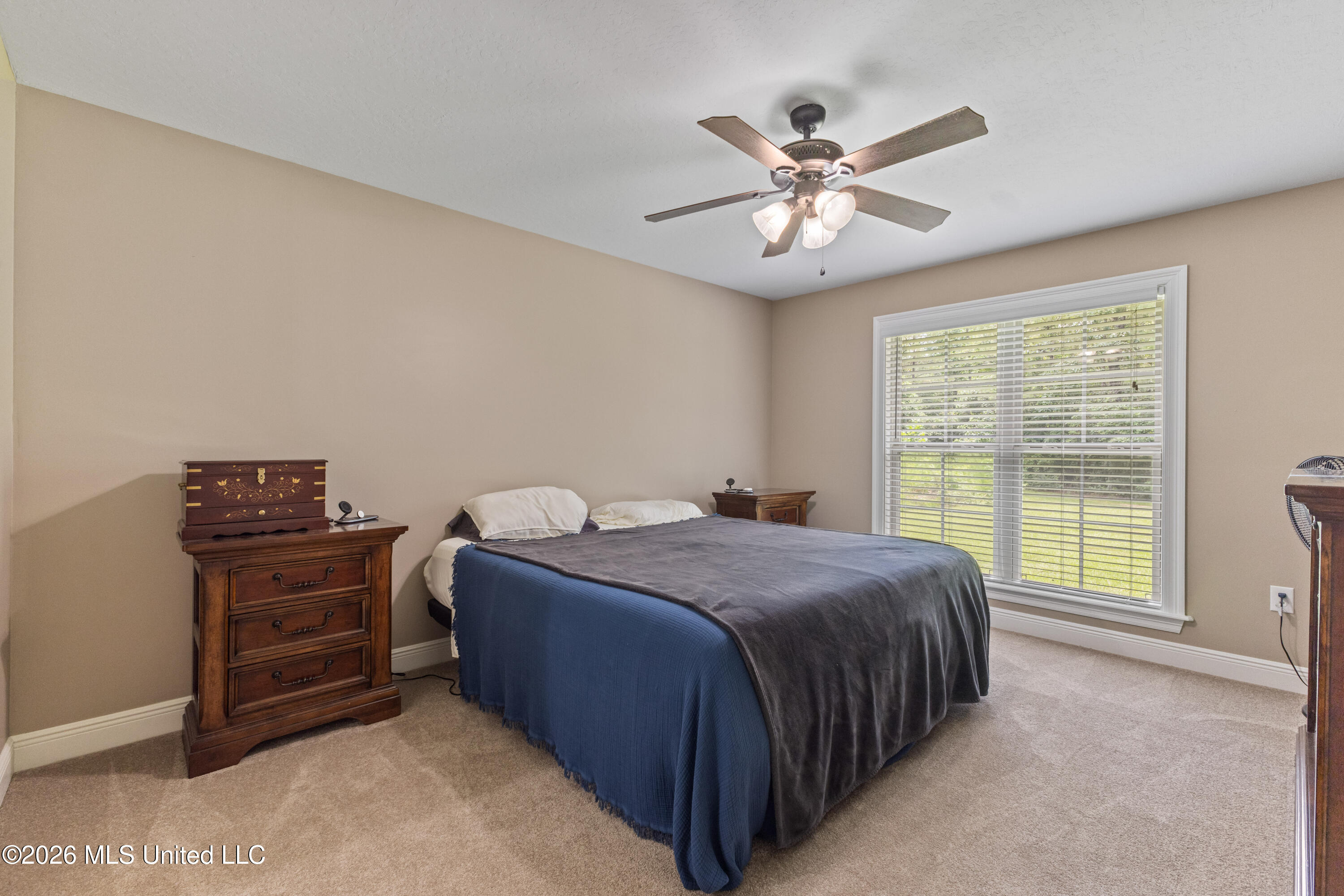 57 Napier Road Property Photo 13