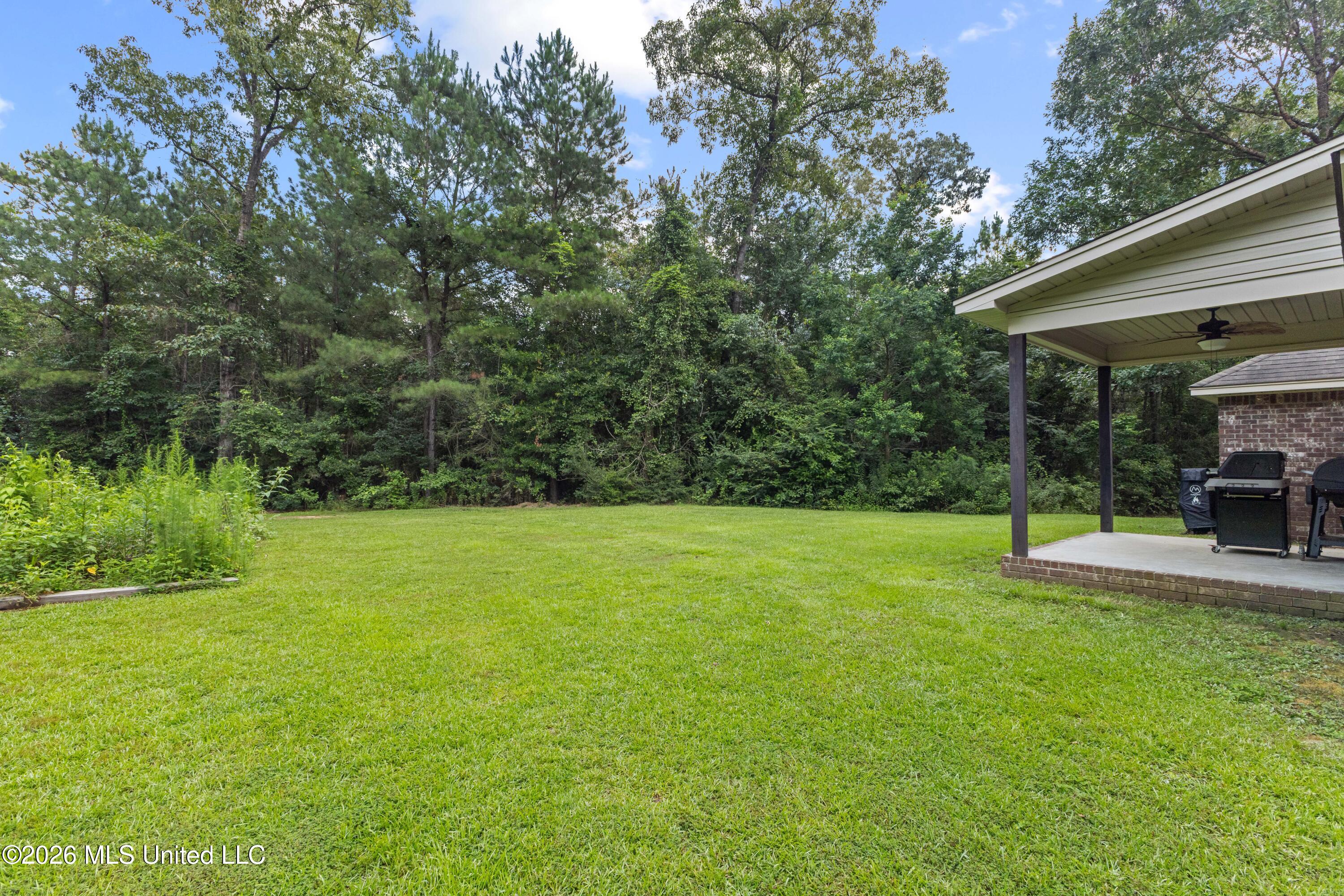 57 Napier Road Property Photo 27