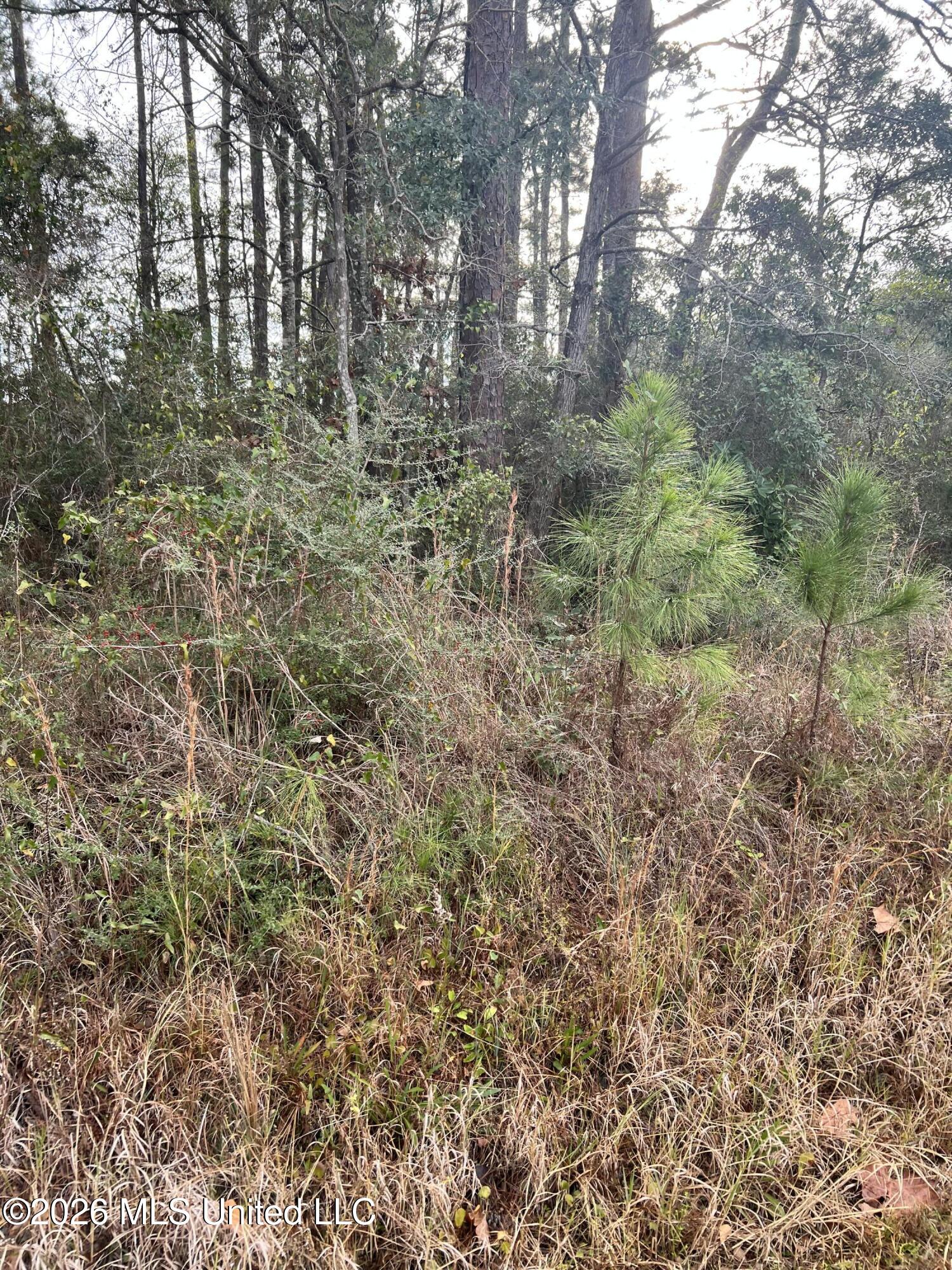 Chestnut Street Property Photo 1