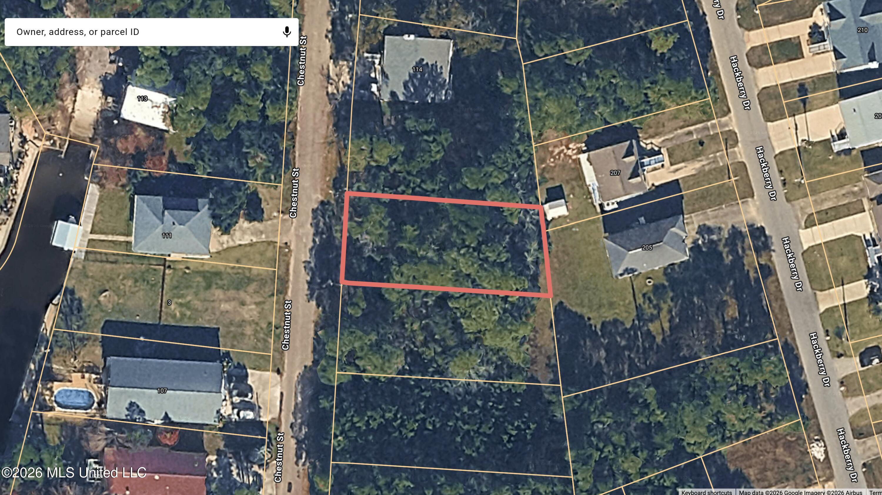 Chestnut Street Property Photo 2
