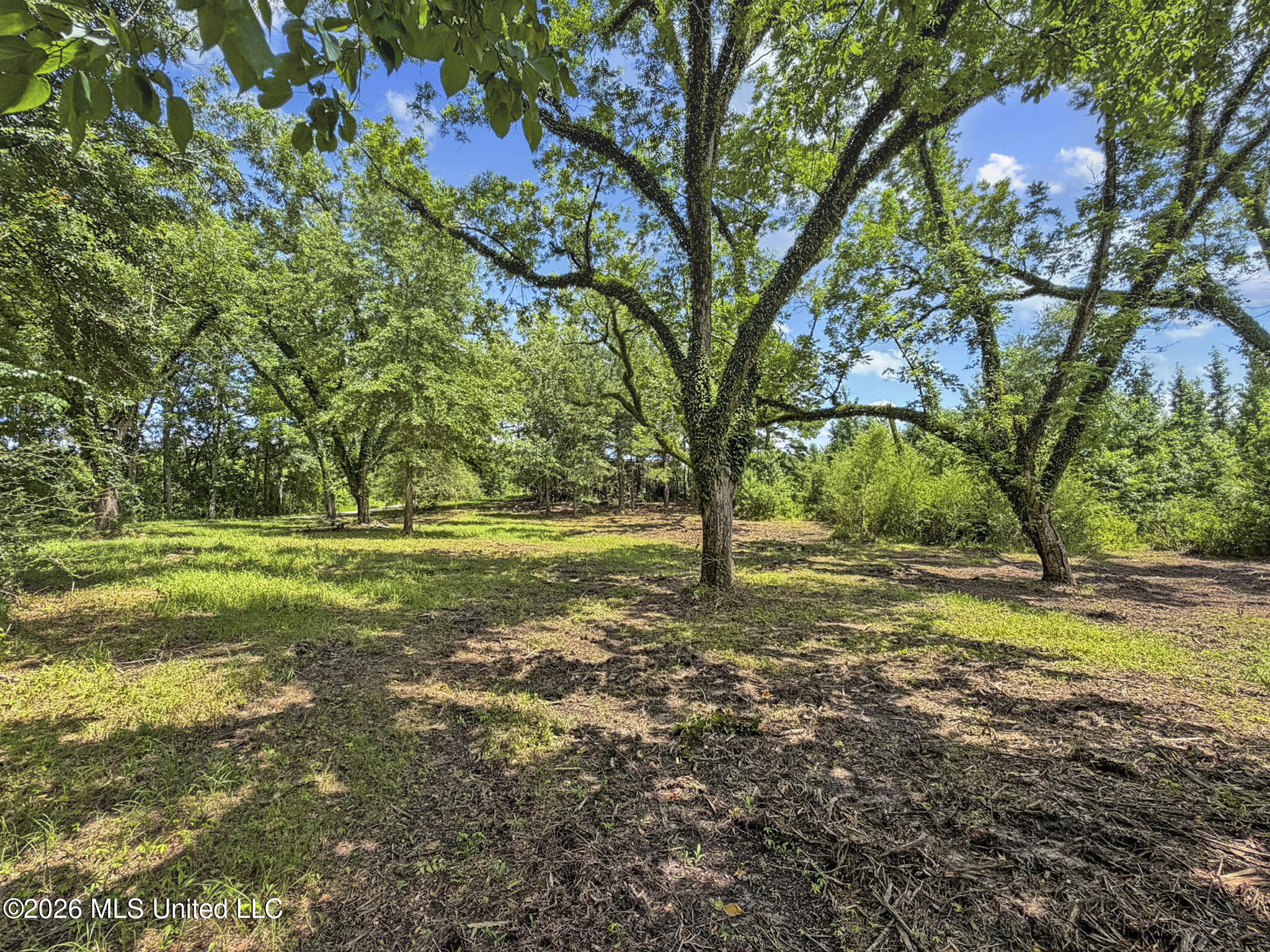 Co Rd 13 Property Photo 1