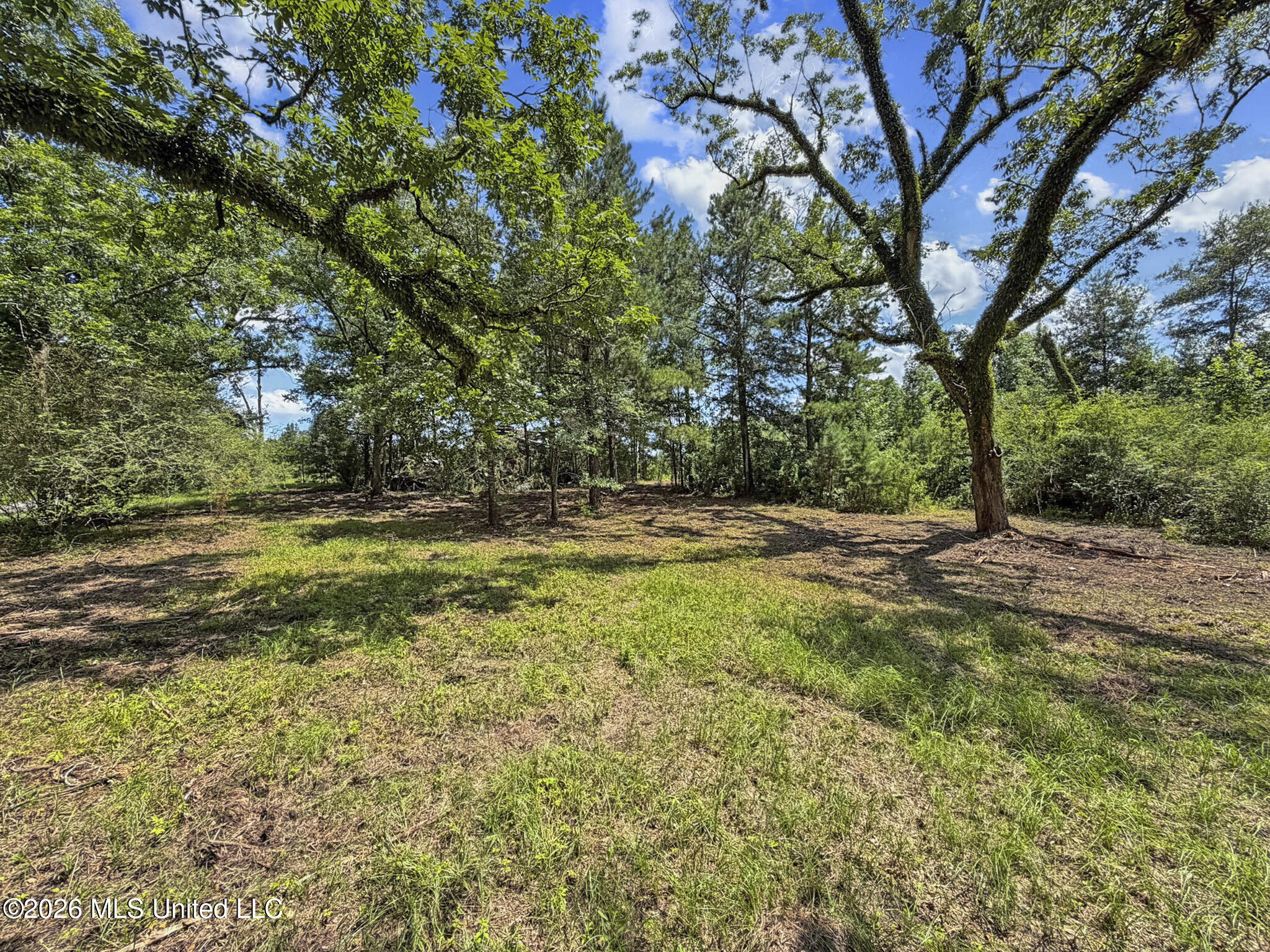 Co Rd 13 Property Photo 5