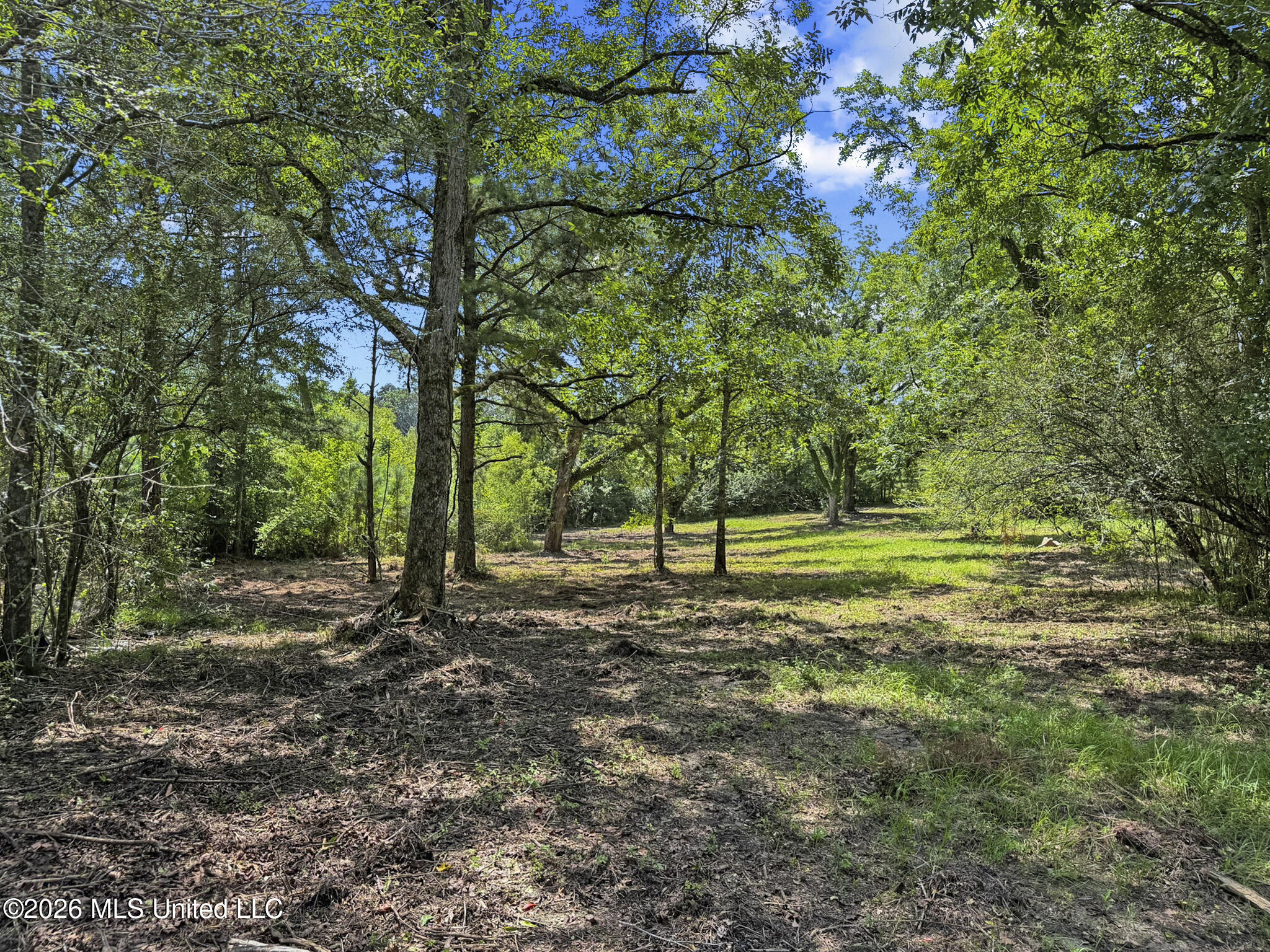 Co Rd 13 Property Photo 9