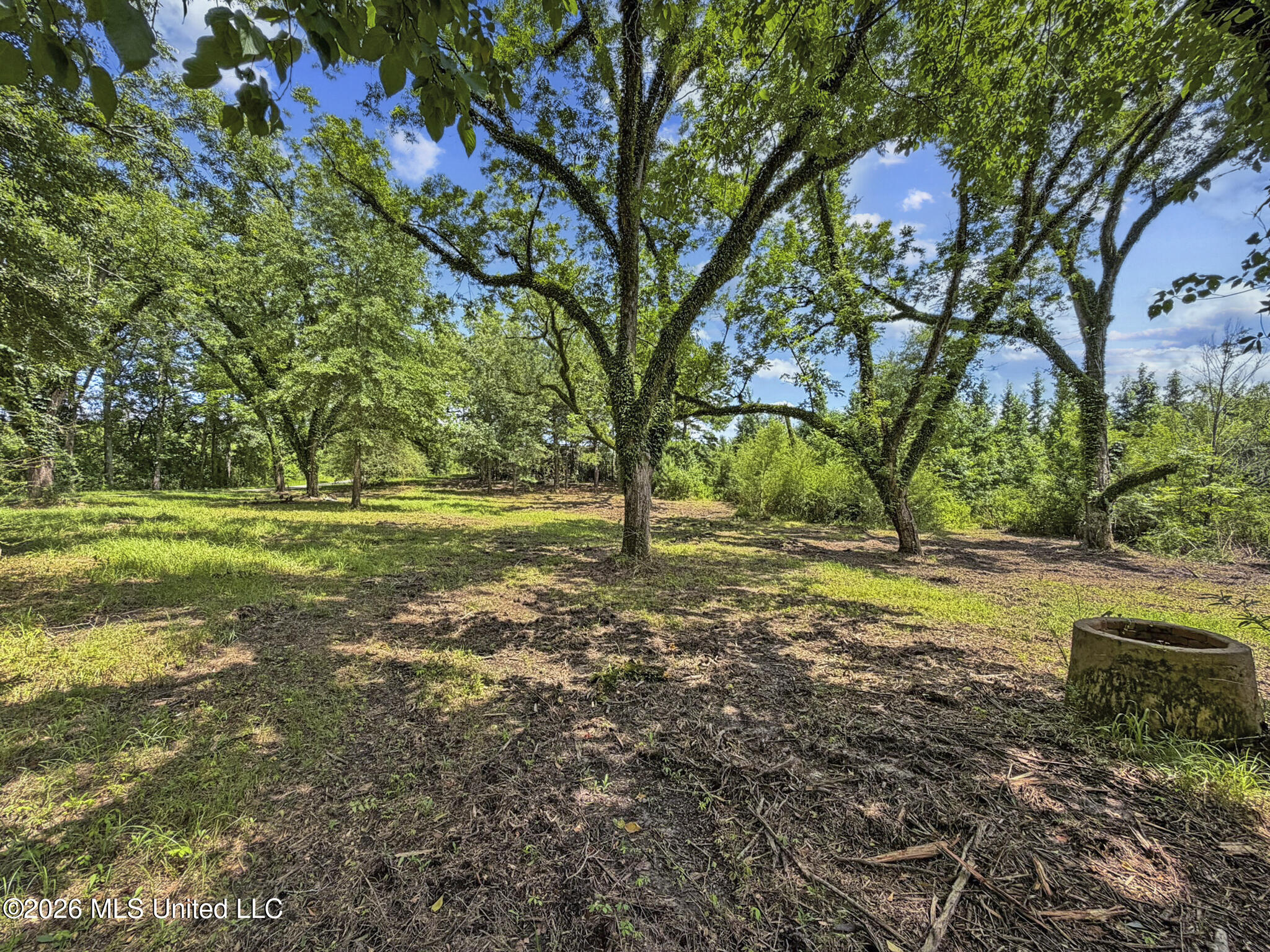 Co Rd 13 Property Photo 13