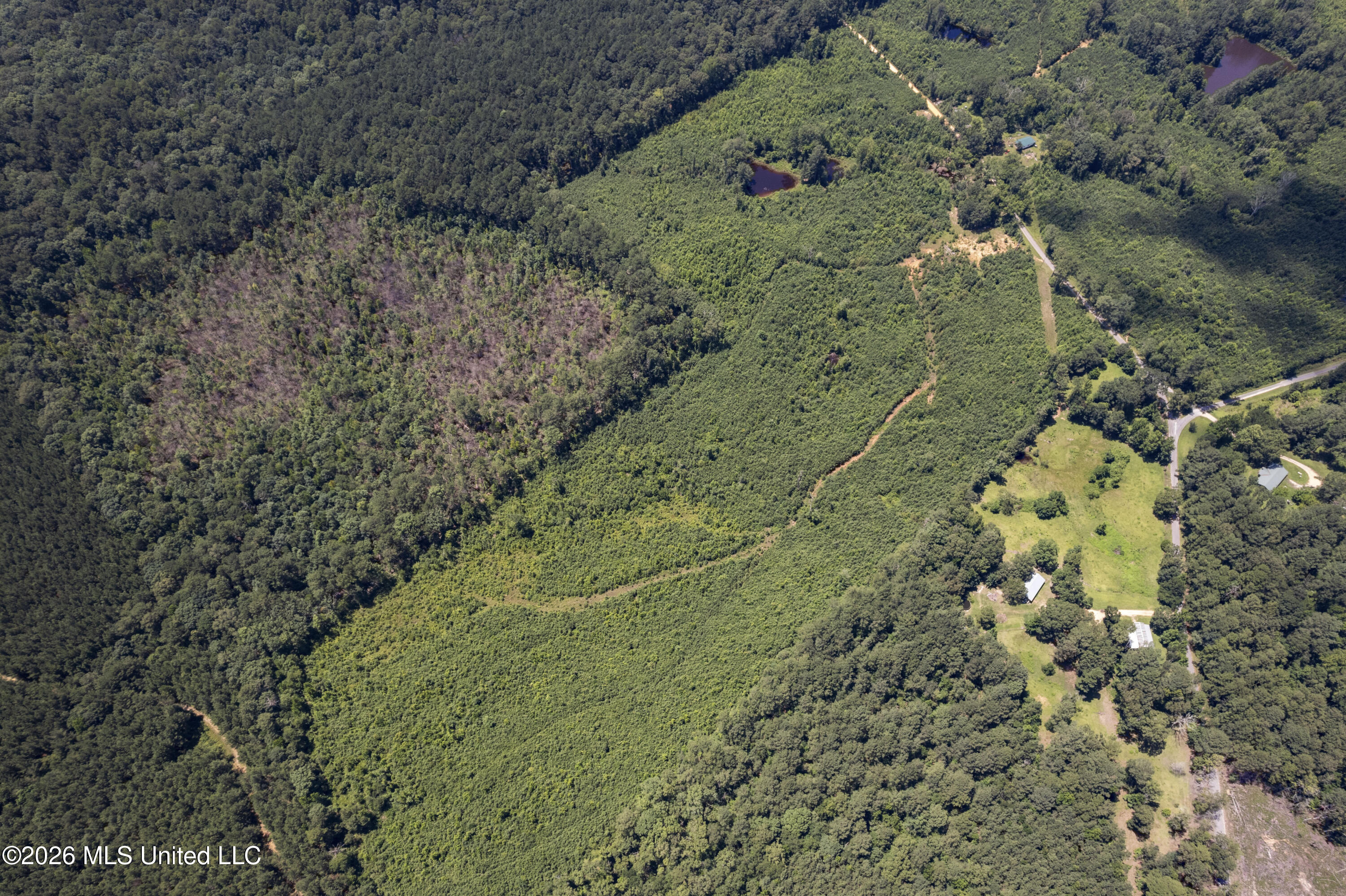 Co Rd 13 Property Photo 19