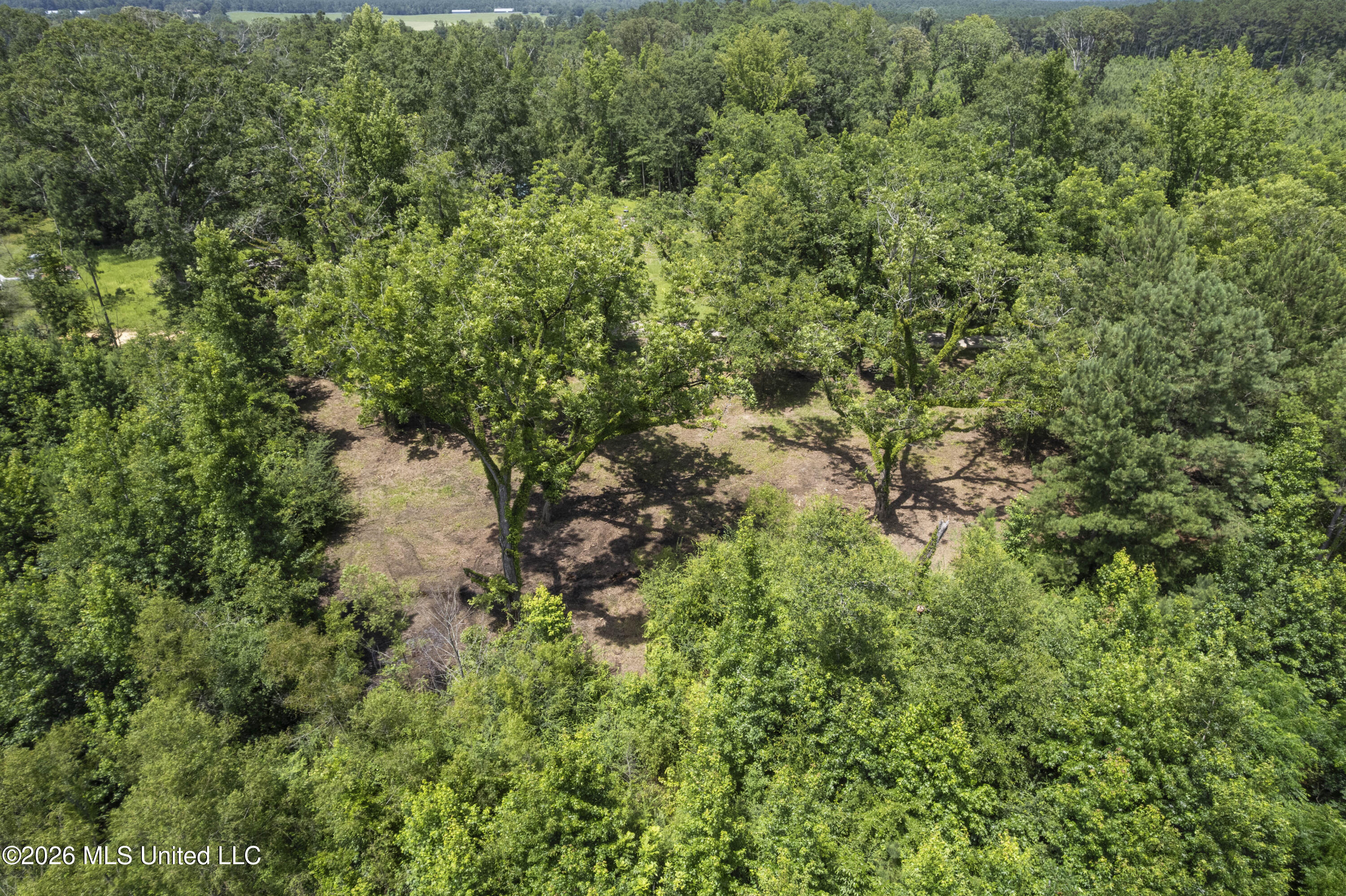 Co Rd 13 Property Photo 28