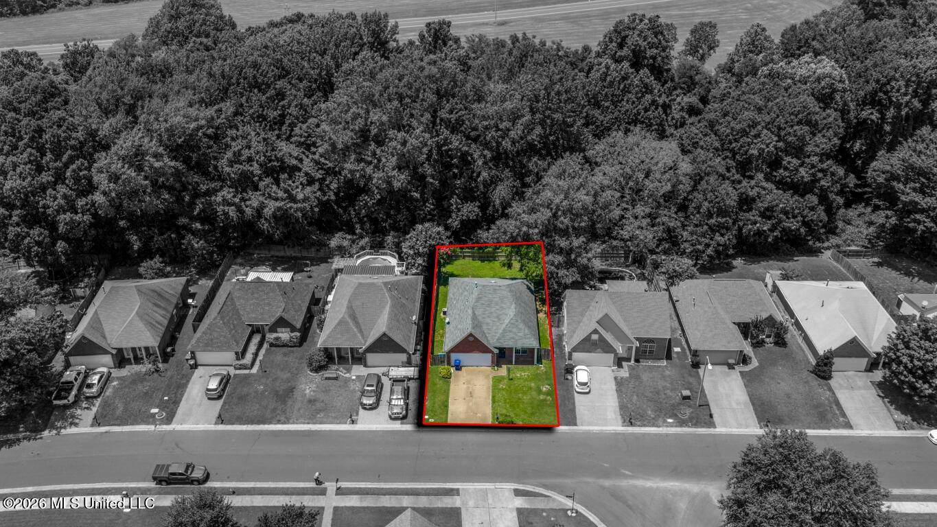 7249 Lucia Lane Property Photo 2