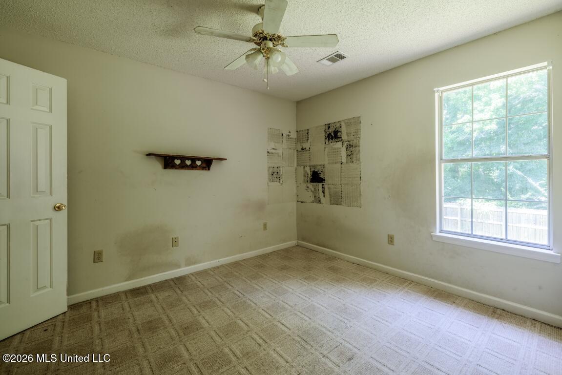 7249 Lucia Lane Property Photo 11