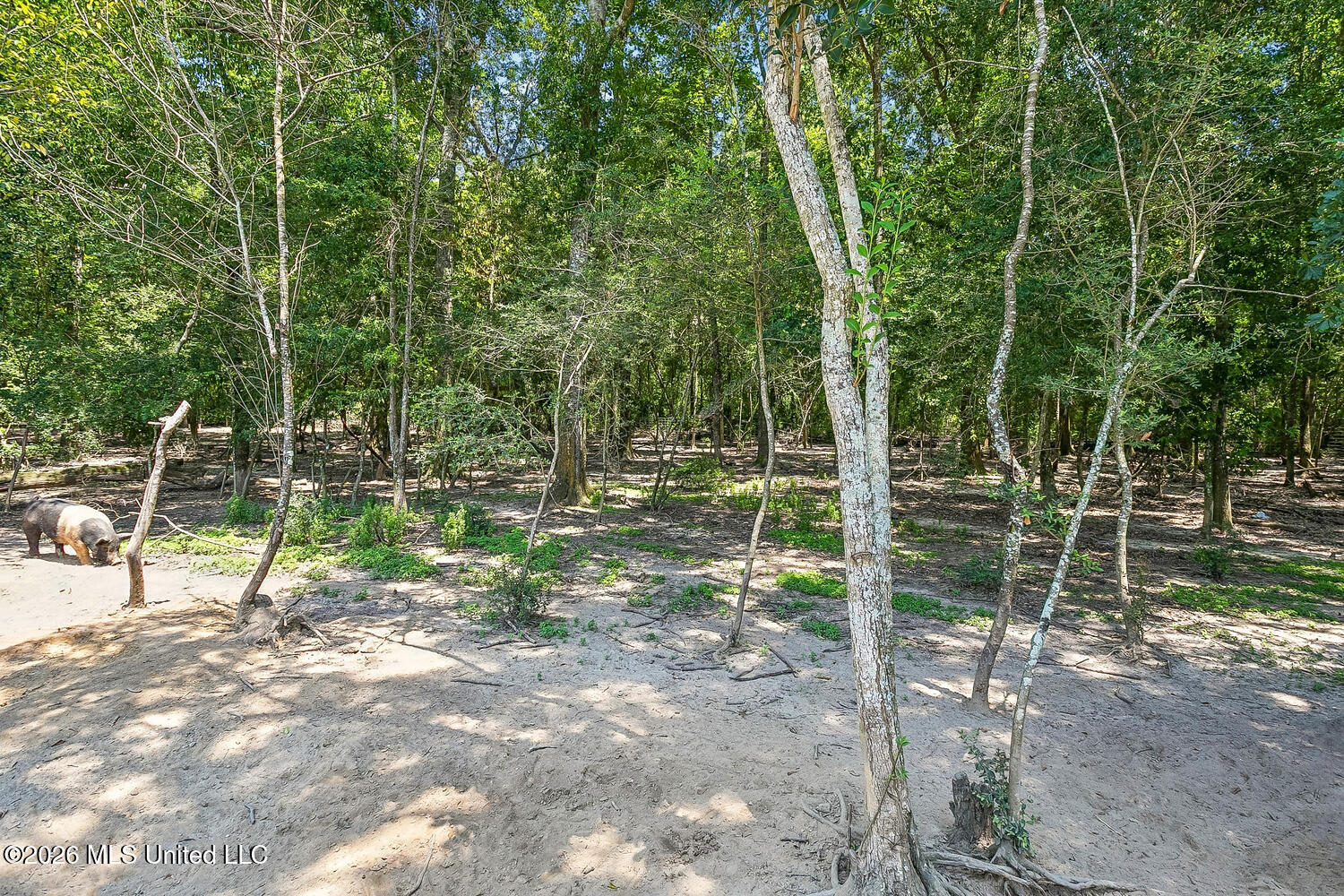 140 Sugar Creek Road Property Photo 46