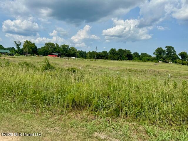 8274 Louisiana 566 Property Photo 7