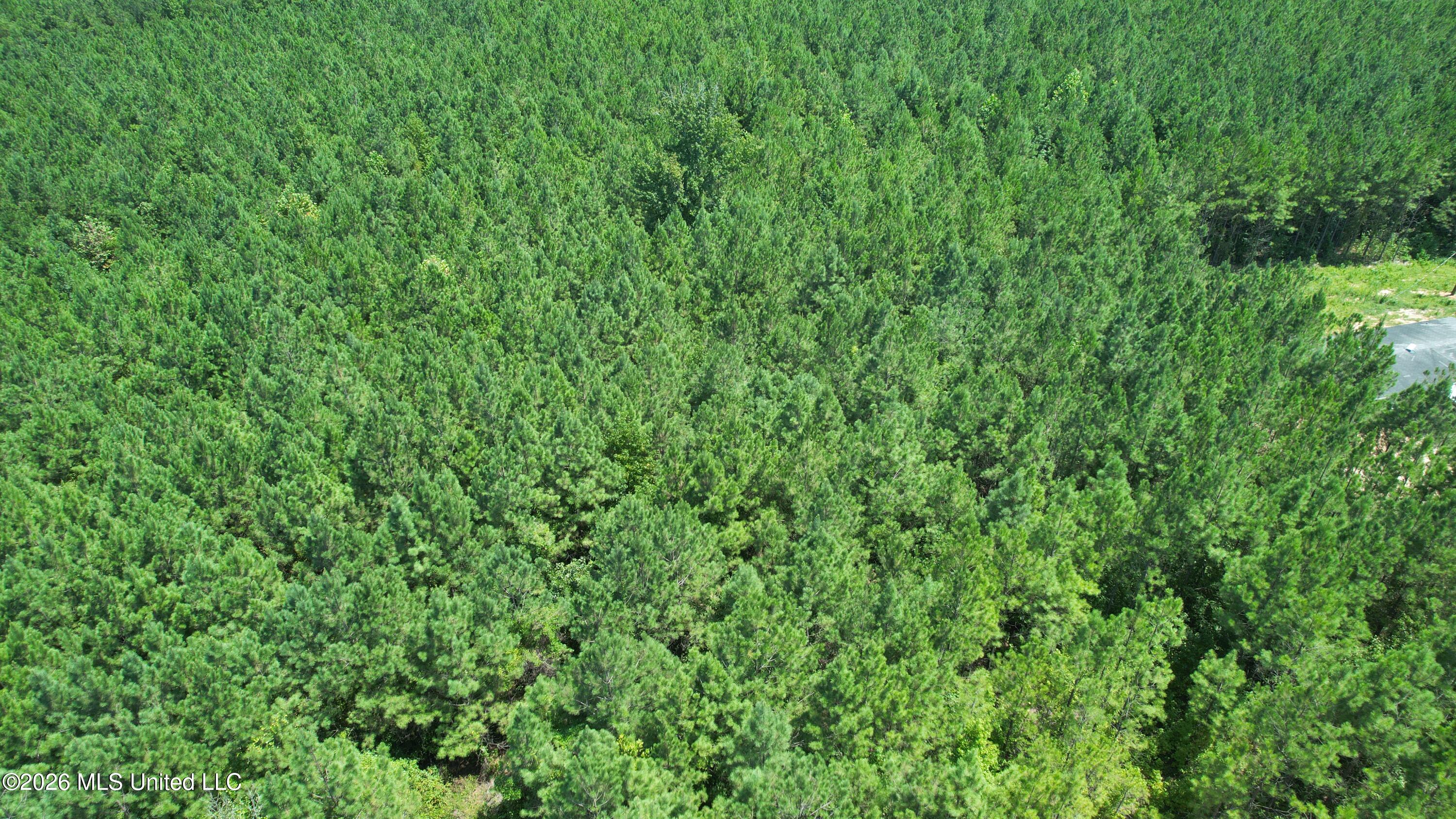 County Rd 2127 Property Photo 3