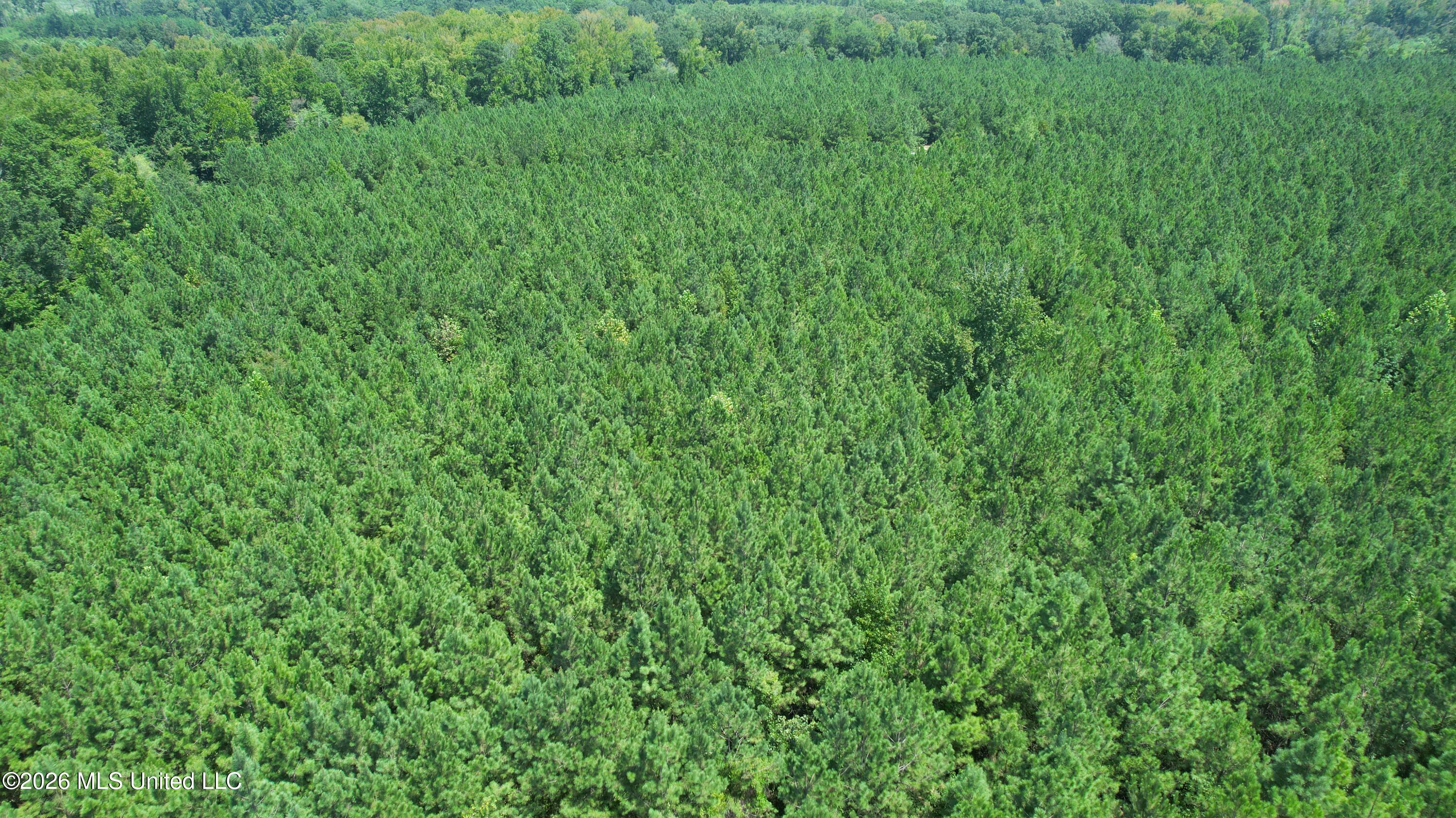 County Rd 2127 Property Photo 4