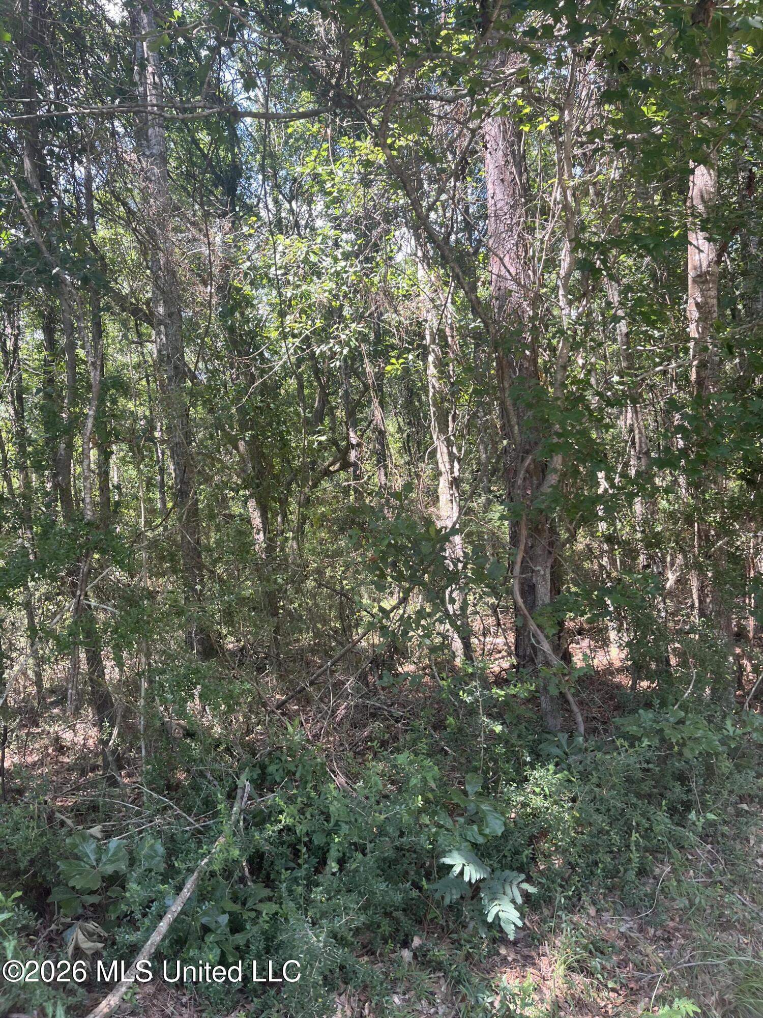 000 I-10 Property Photo 11