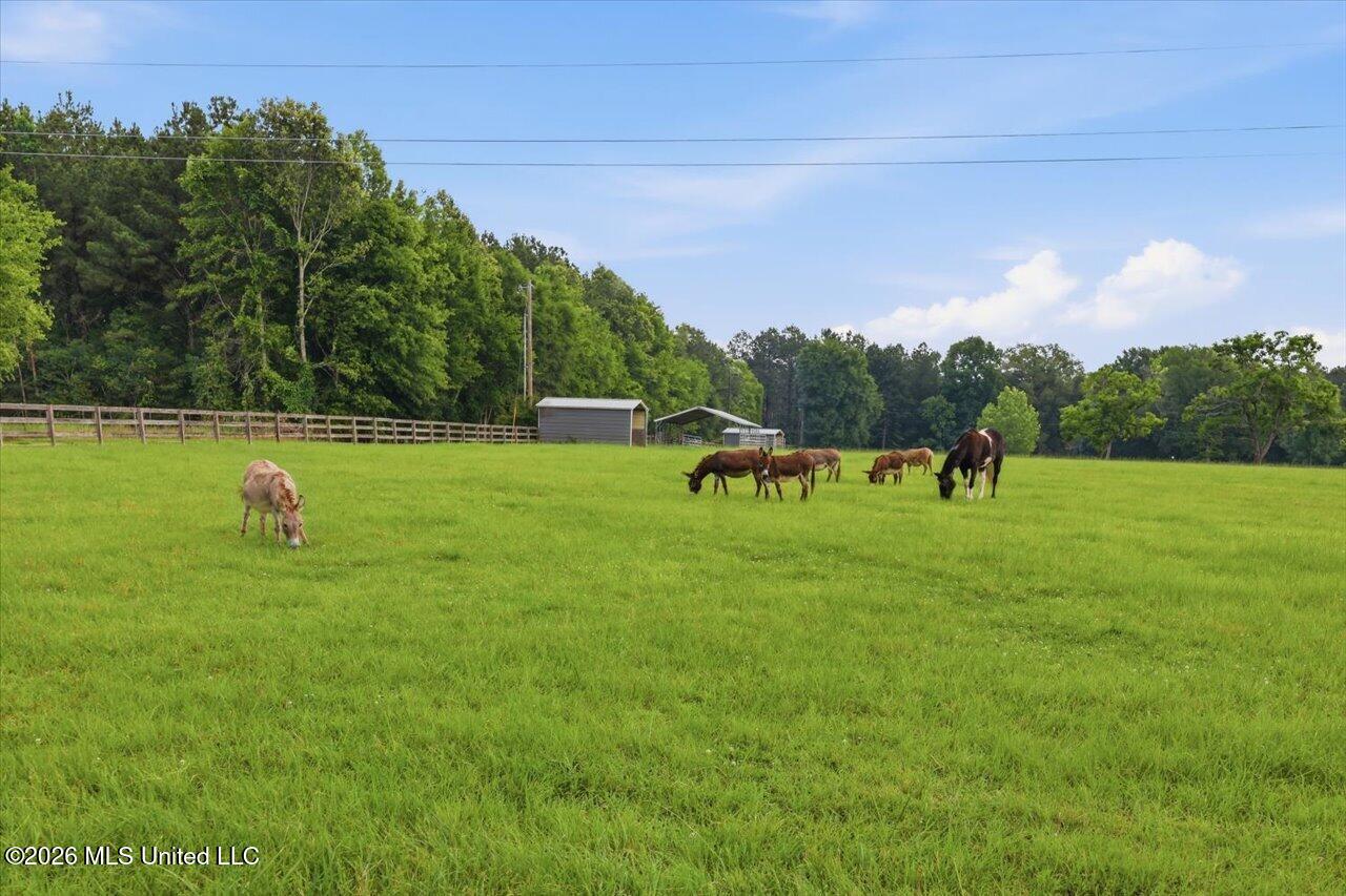 979 Barker Road Property Photo 44