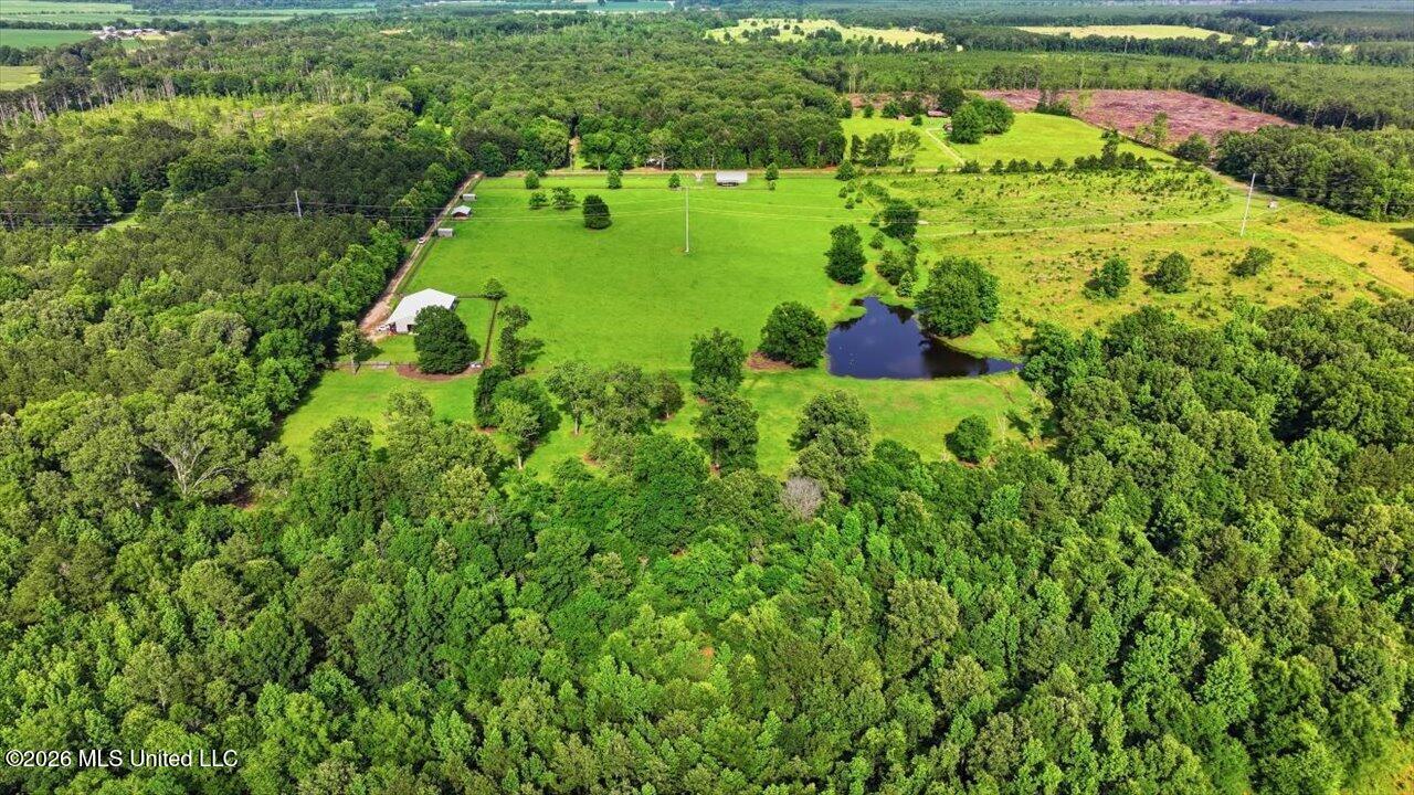 979 Barker Road Property Photo 59