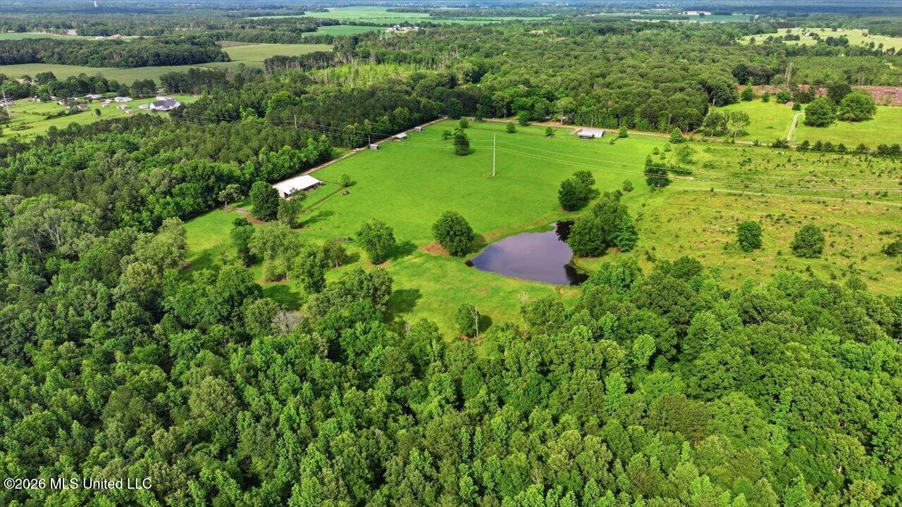 979 Barker Road Property Photo 60