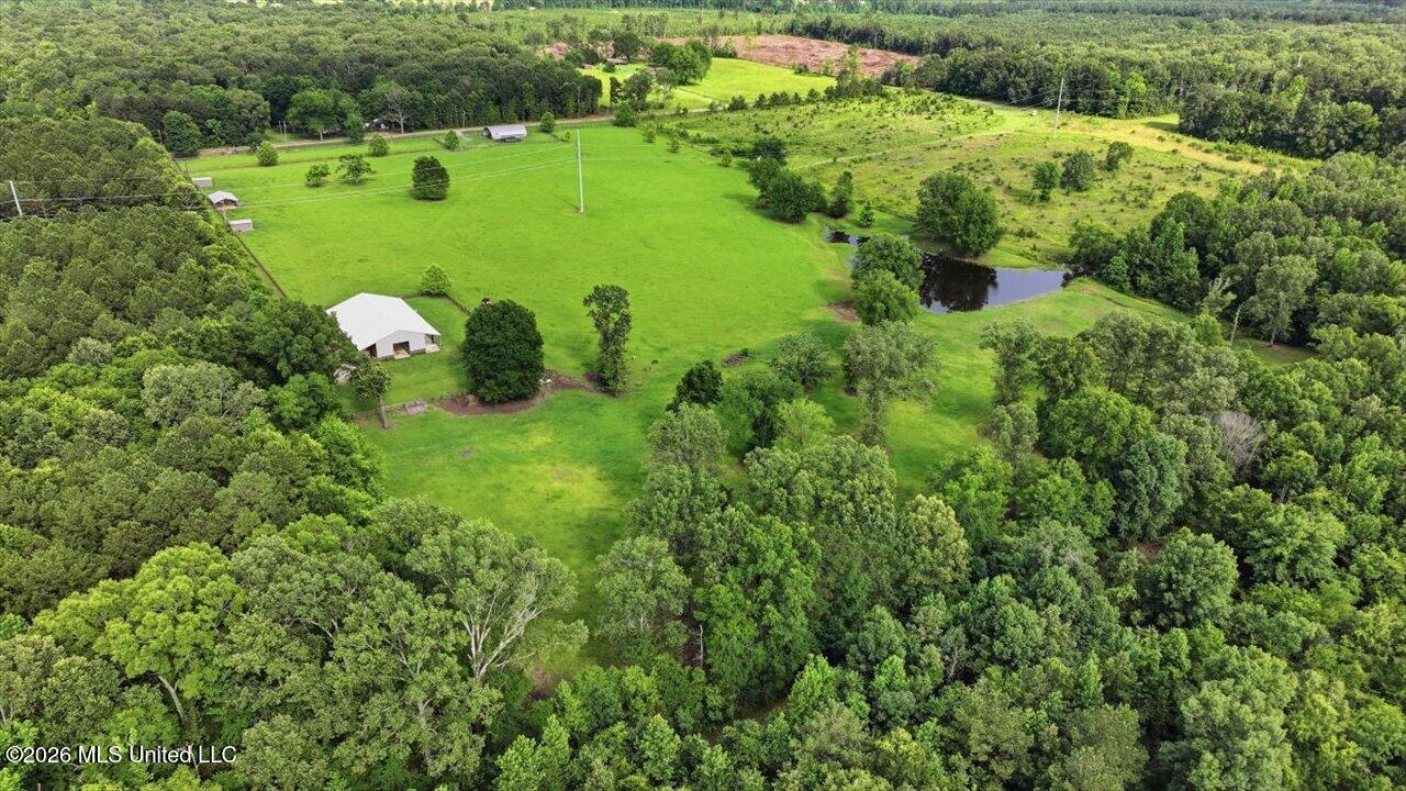 979 Barker Road Property Photo 63