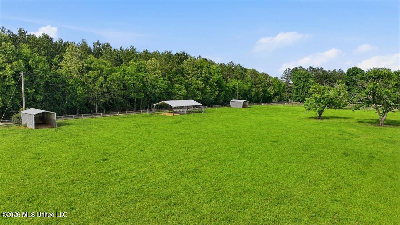 979 Barker Road Property Photo 68