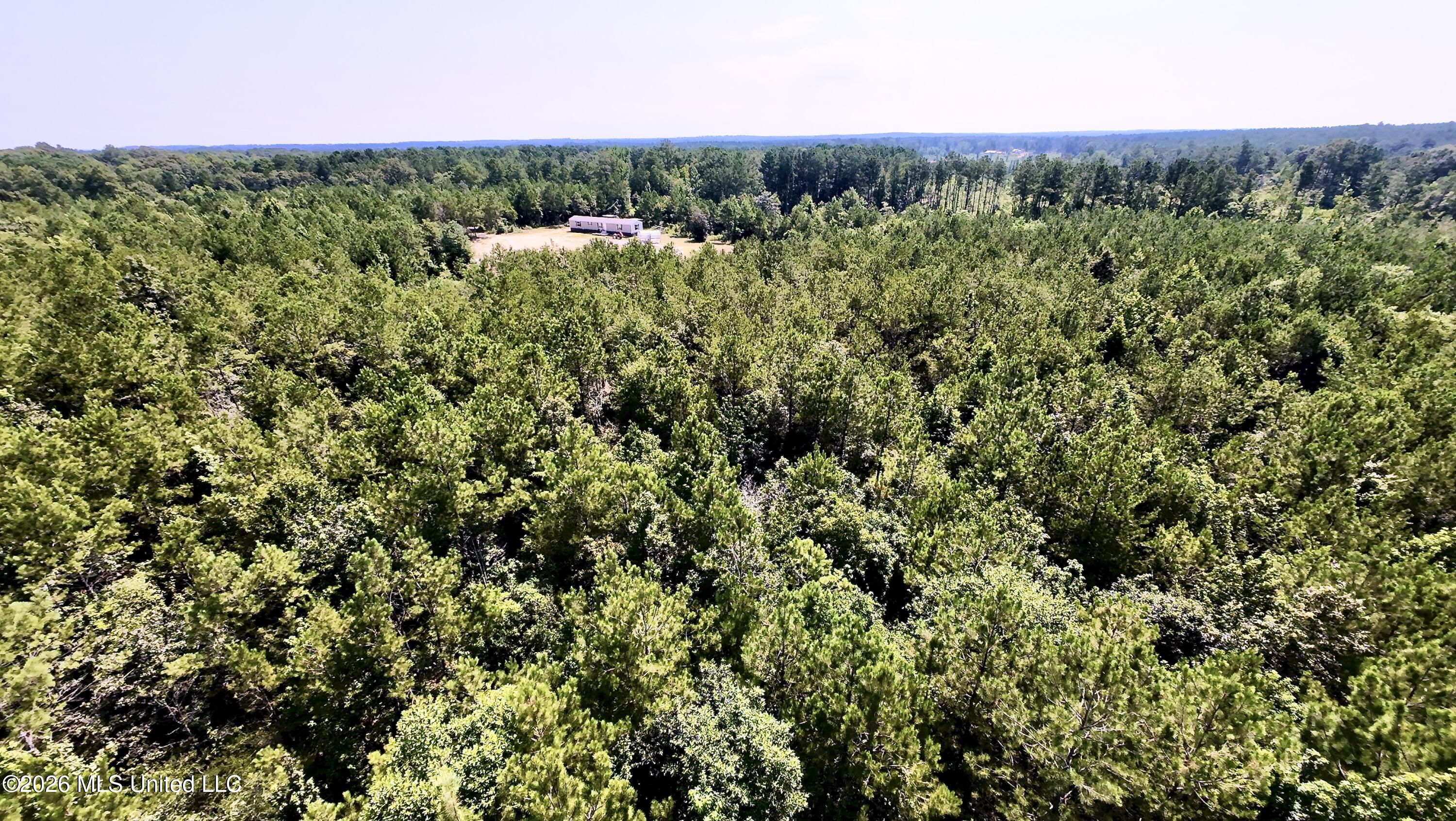 115 Calhoun Road Property Photo 6