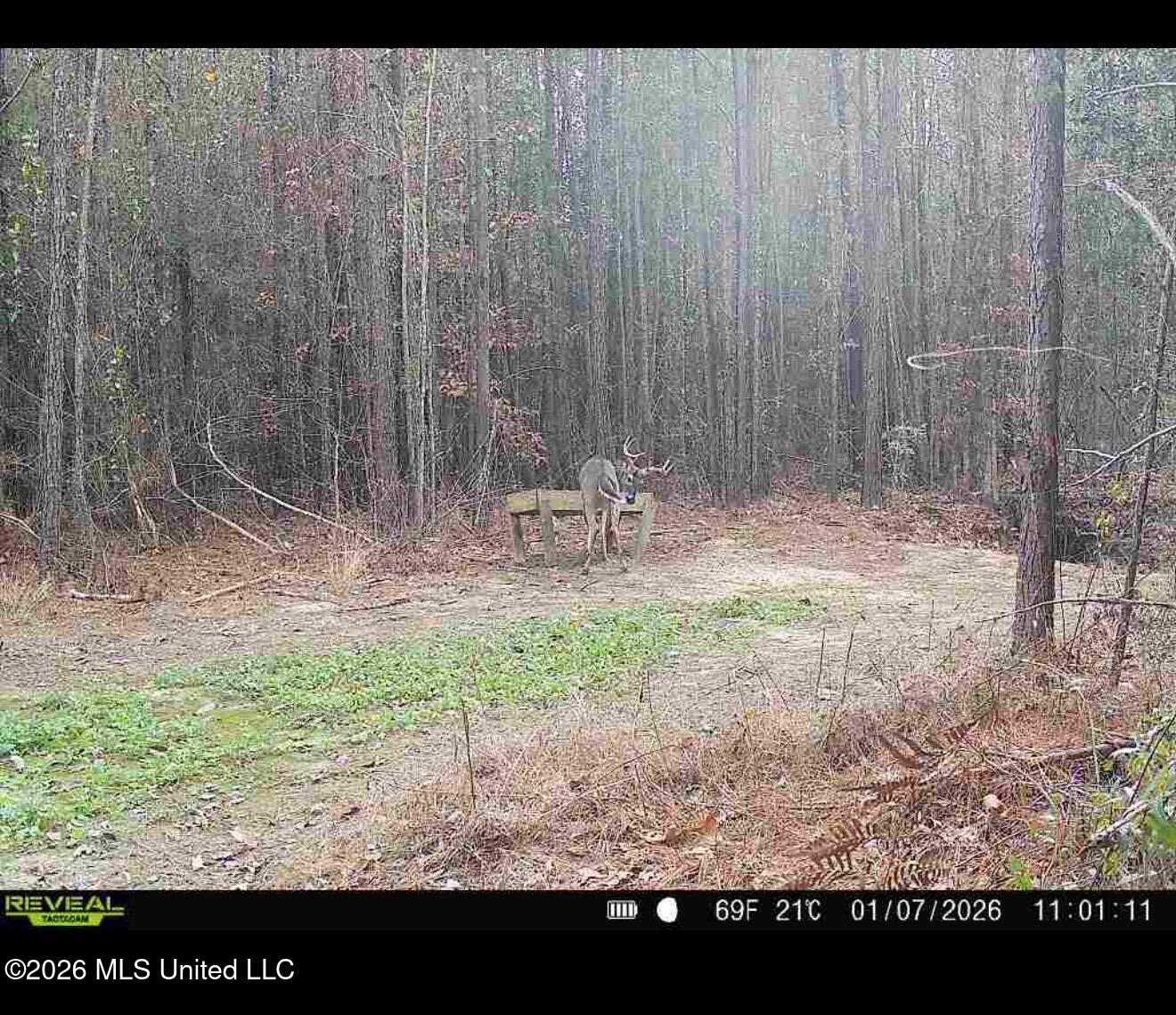 115 Calhoun Road Property Photo 31