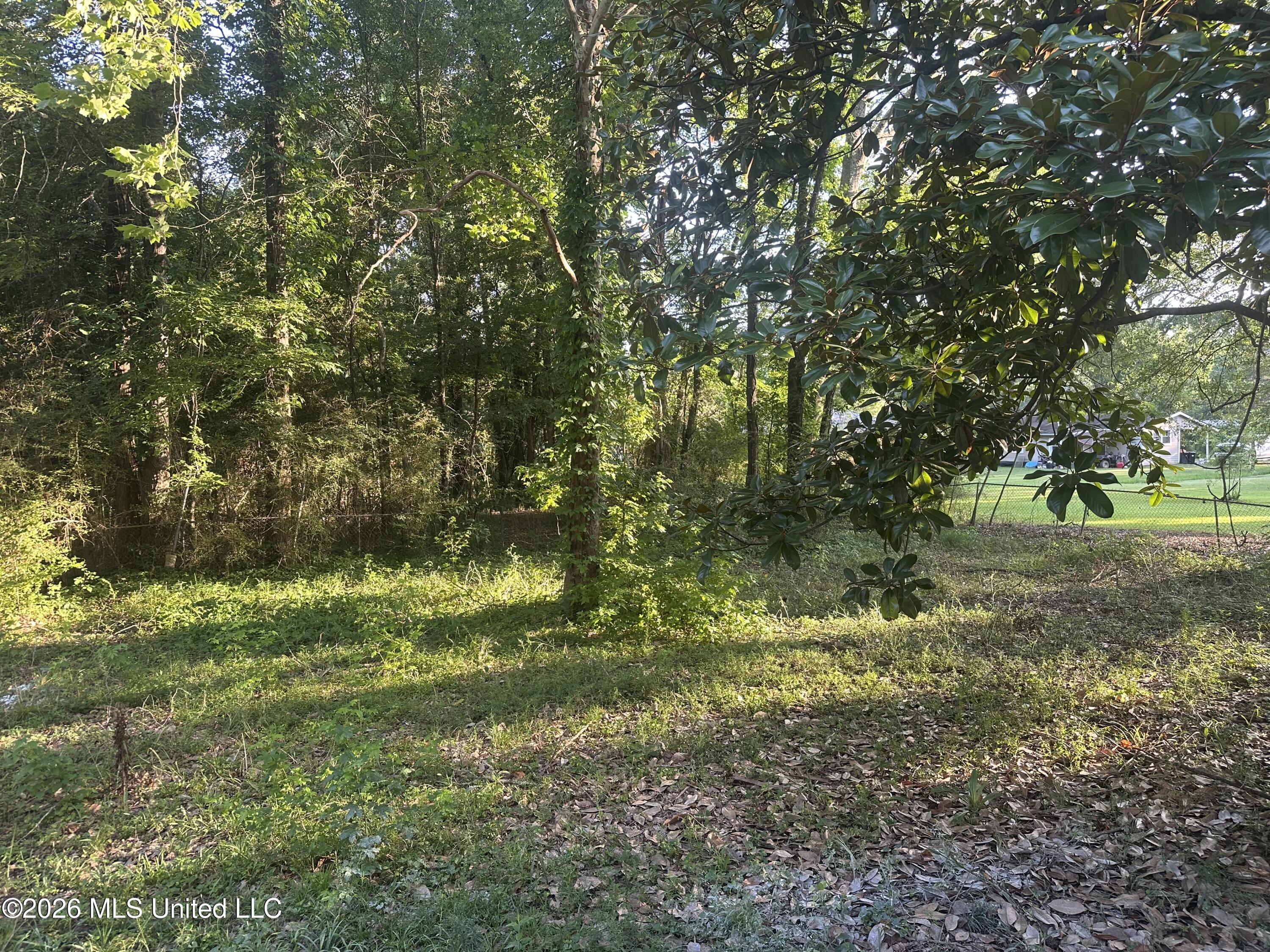 1249 Saint Augustine Drive Property Photo 36
