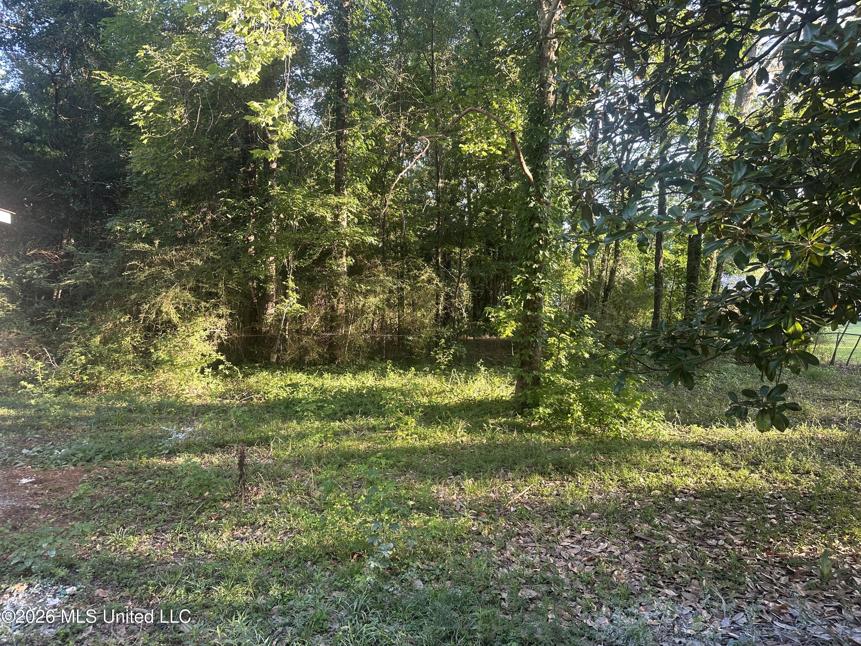1249 Saint Augustine Drive Property Photo 37