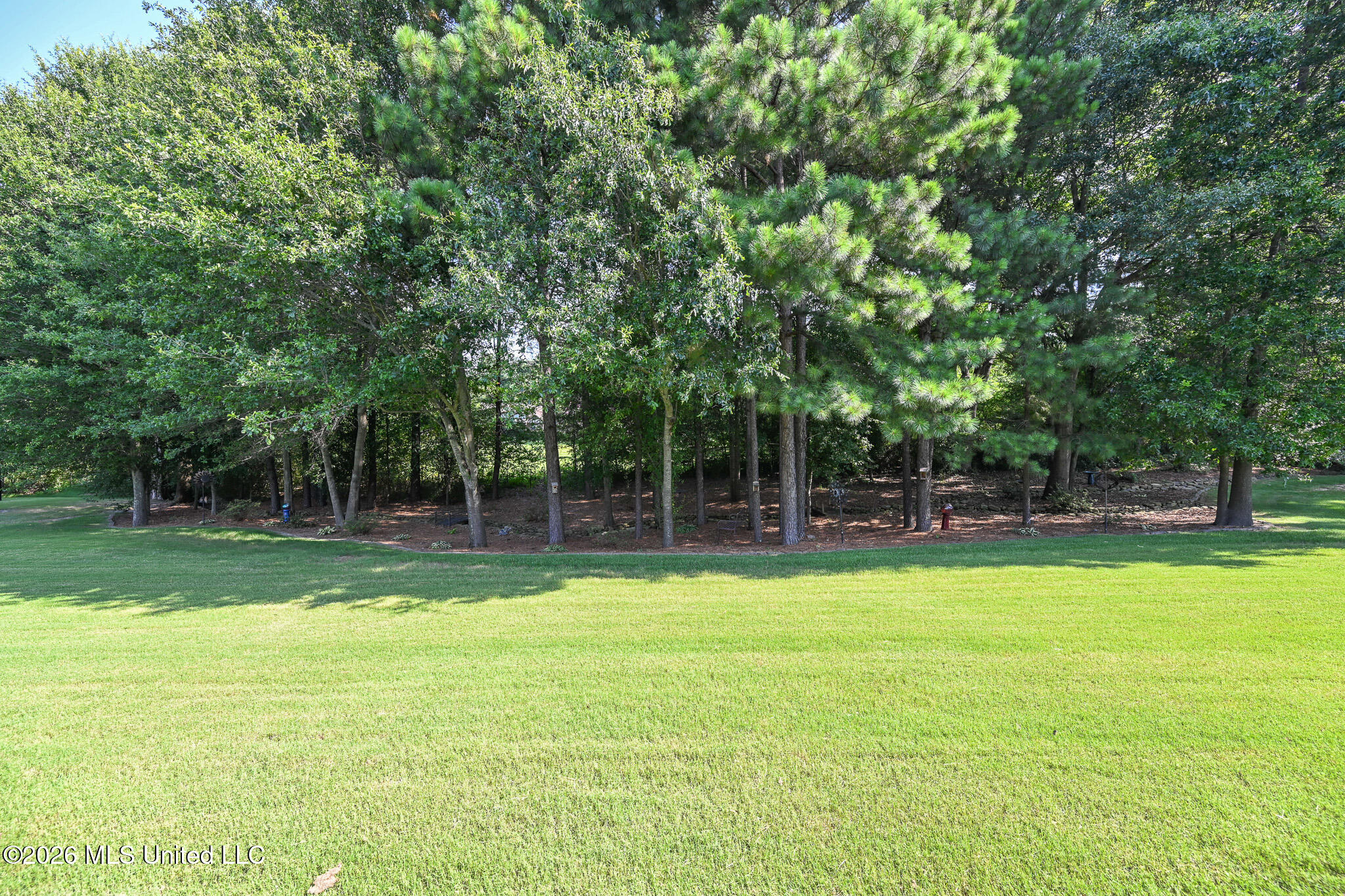 4650 Pleasant Breeze Drive Property Photo 43