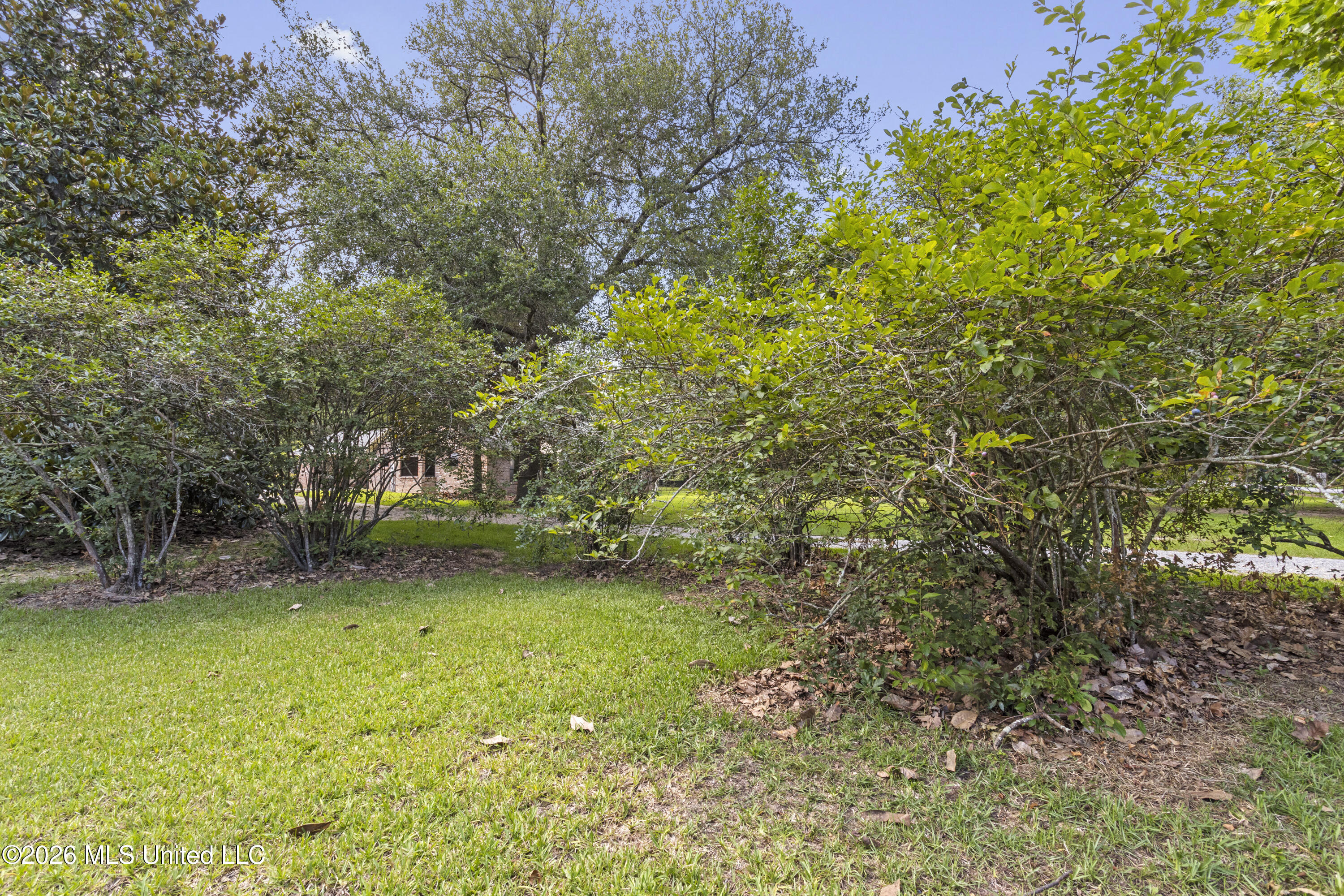 153 Pittman Road Property Photo 49