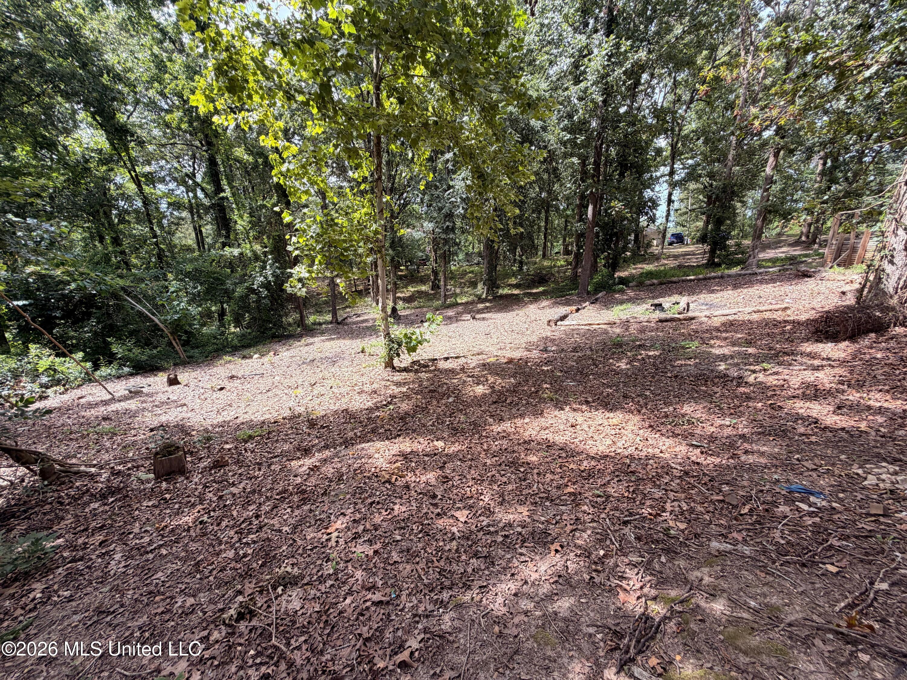 201 Ridgewood Property Photo 26